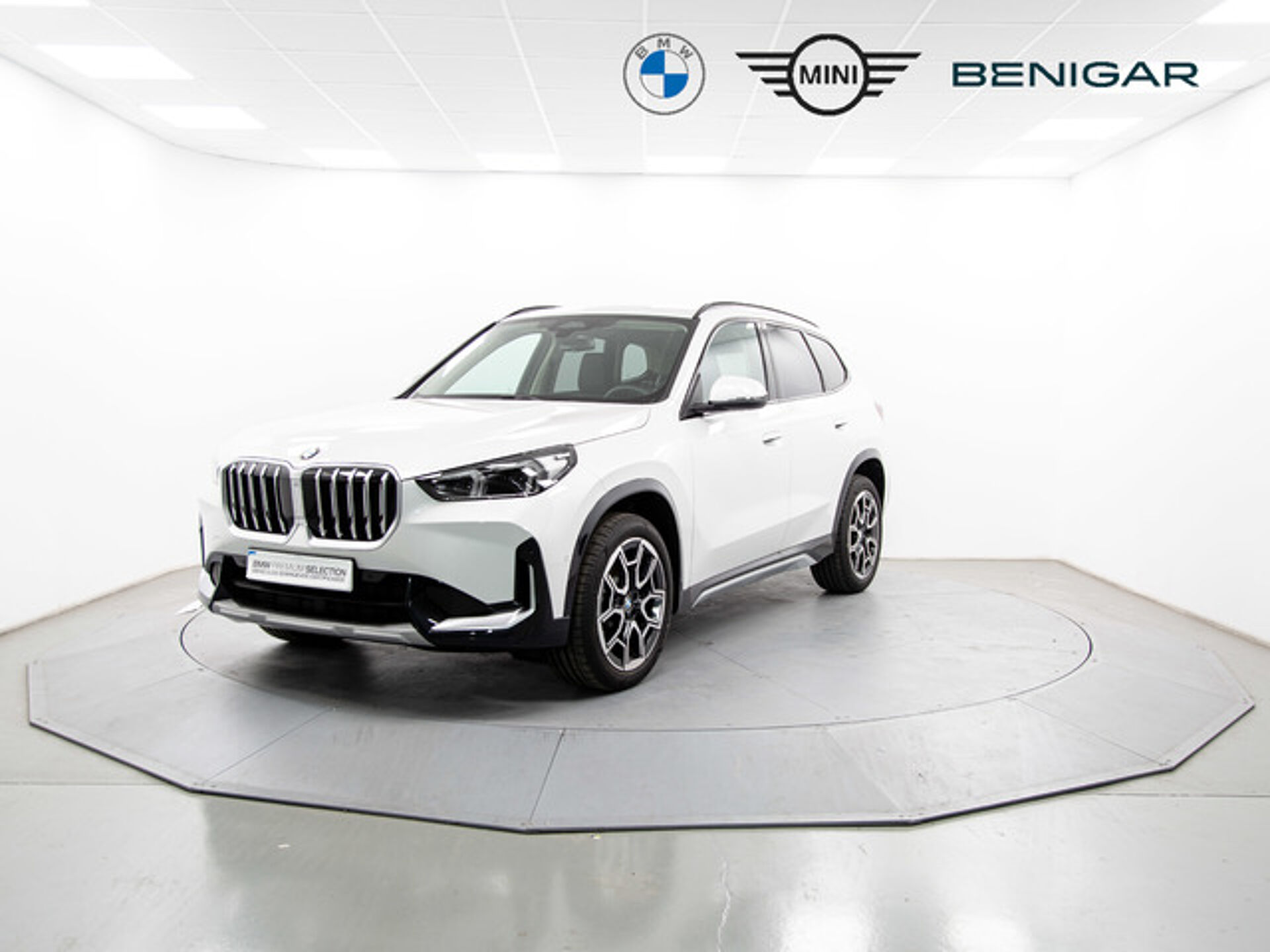 Imagen de BMW X1