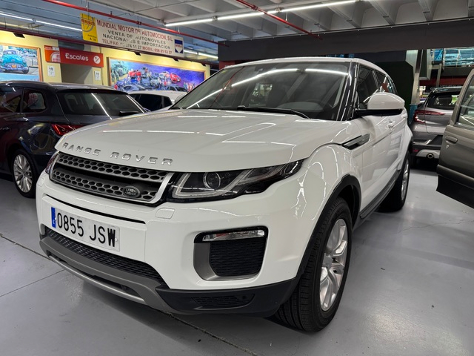 Imagen de LAND ROVER Range Rover Evoque