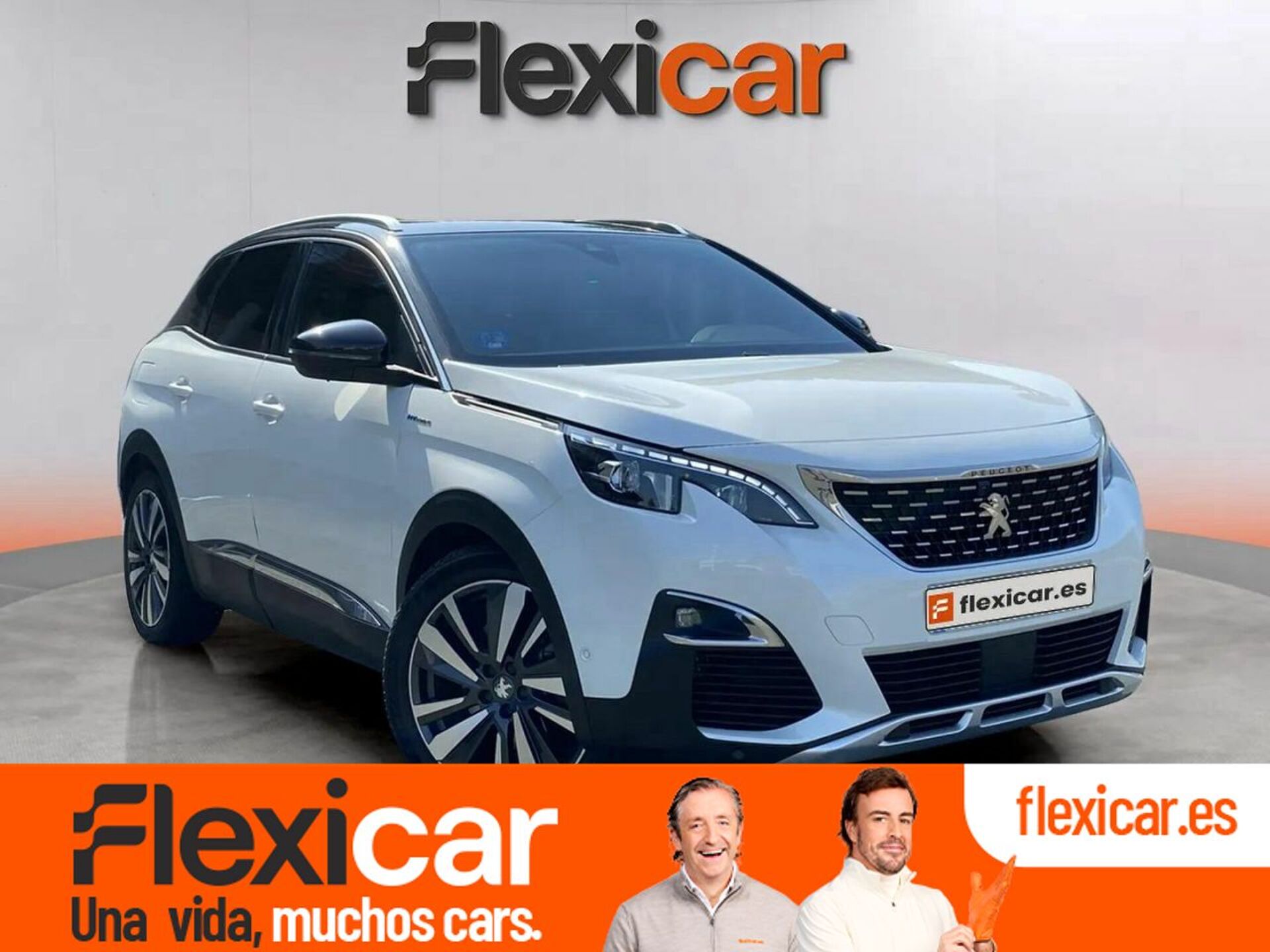 Imagen de PEUGEOT 3008 SUV