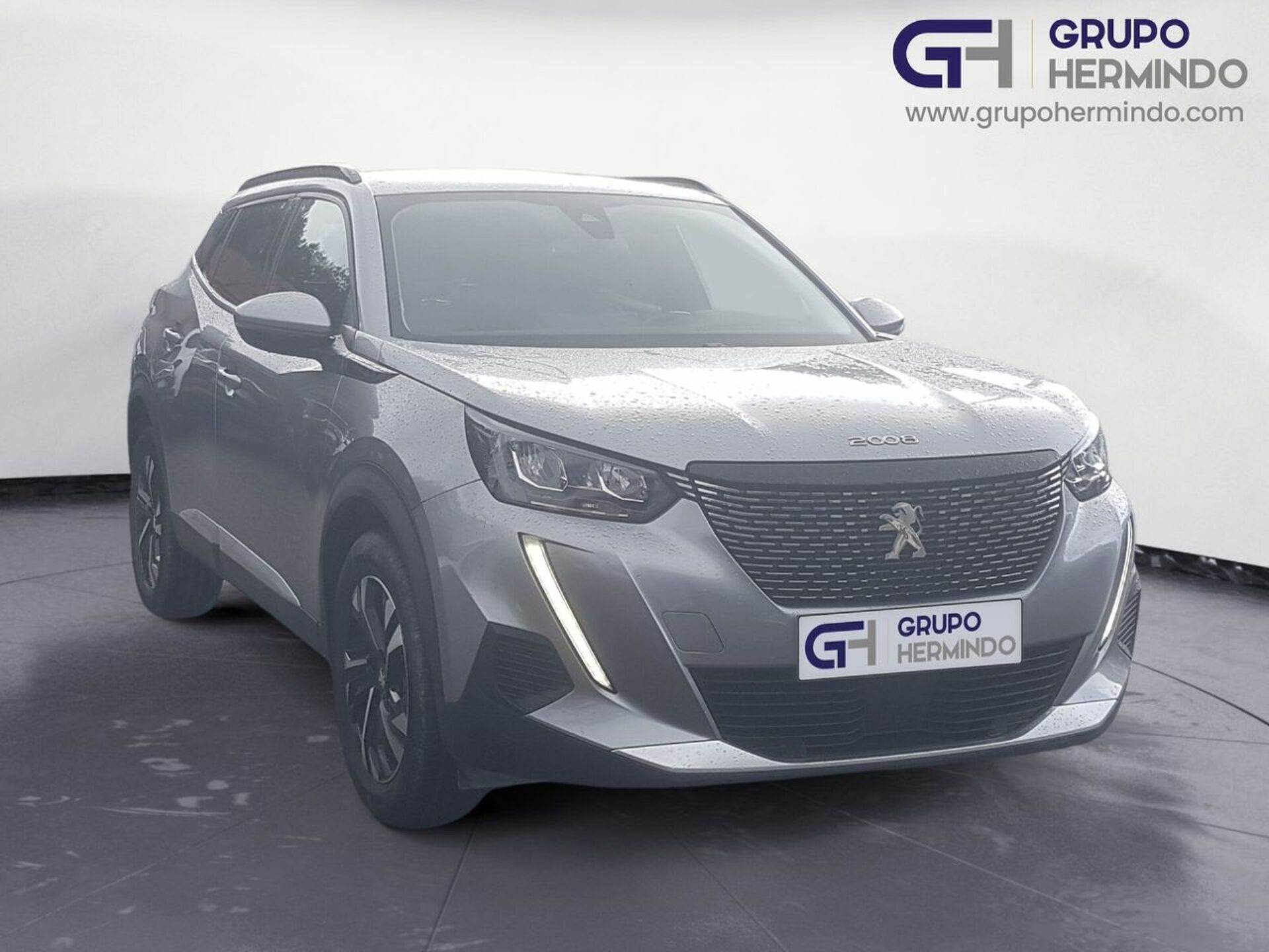 Imagen de PEUGEOT 2008