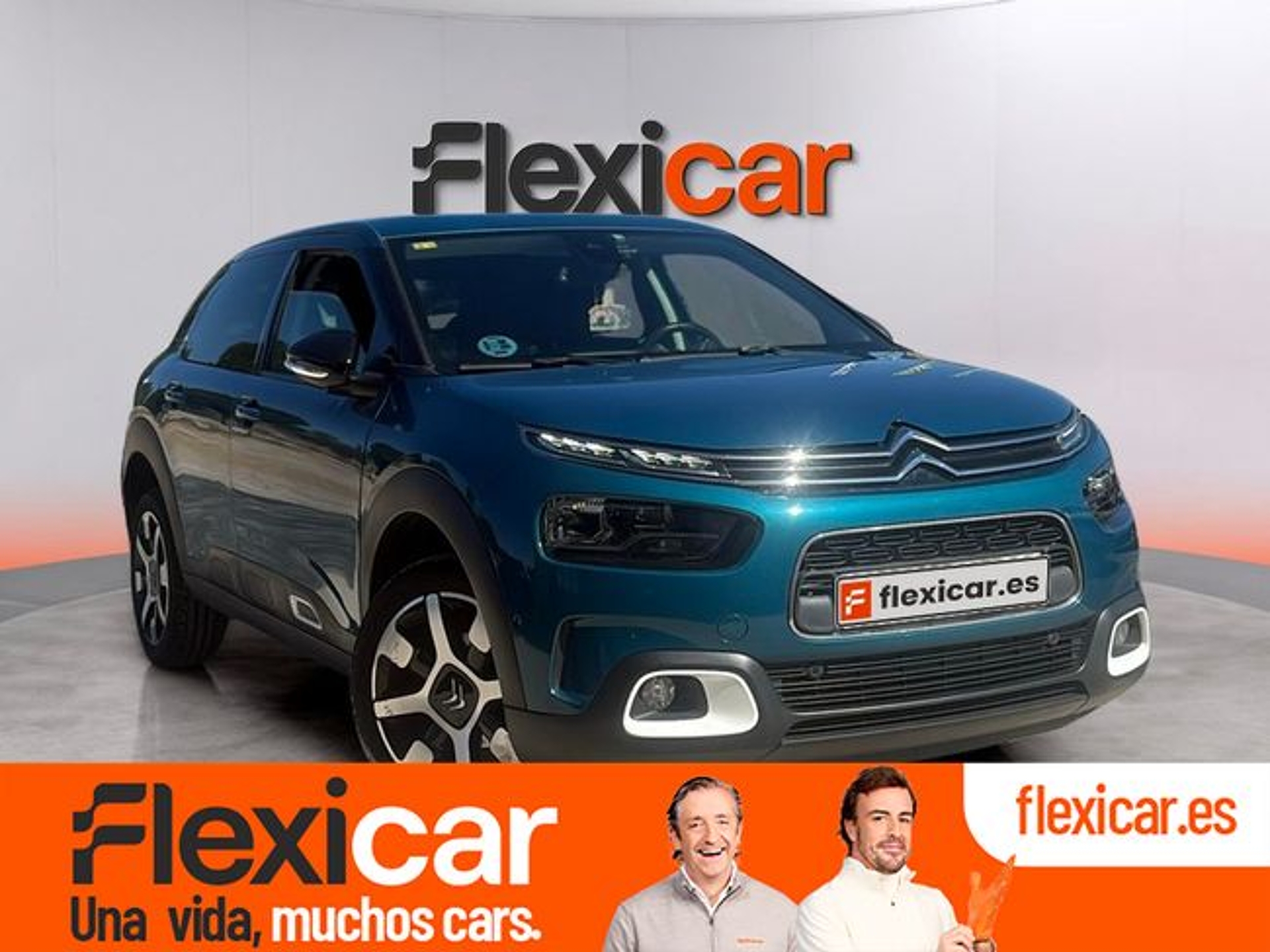 Imagen de CITROEN C4 Cactus