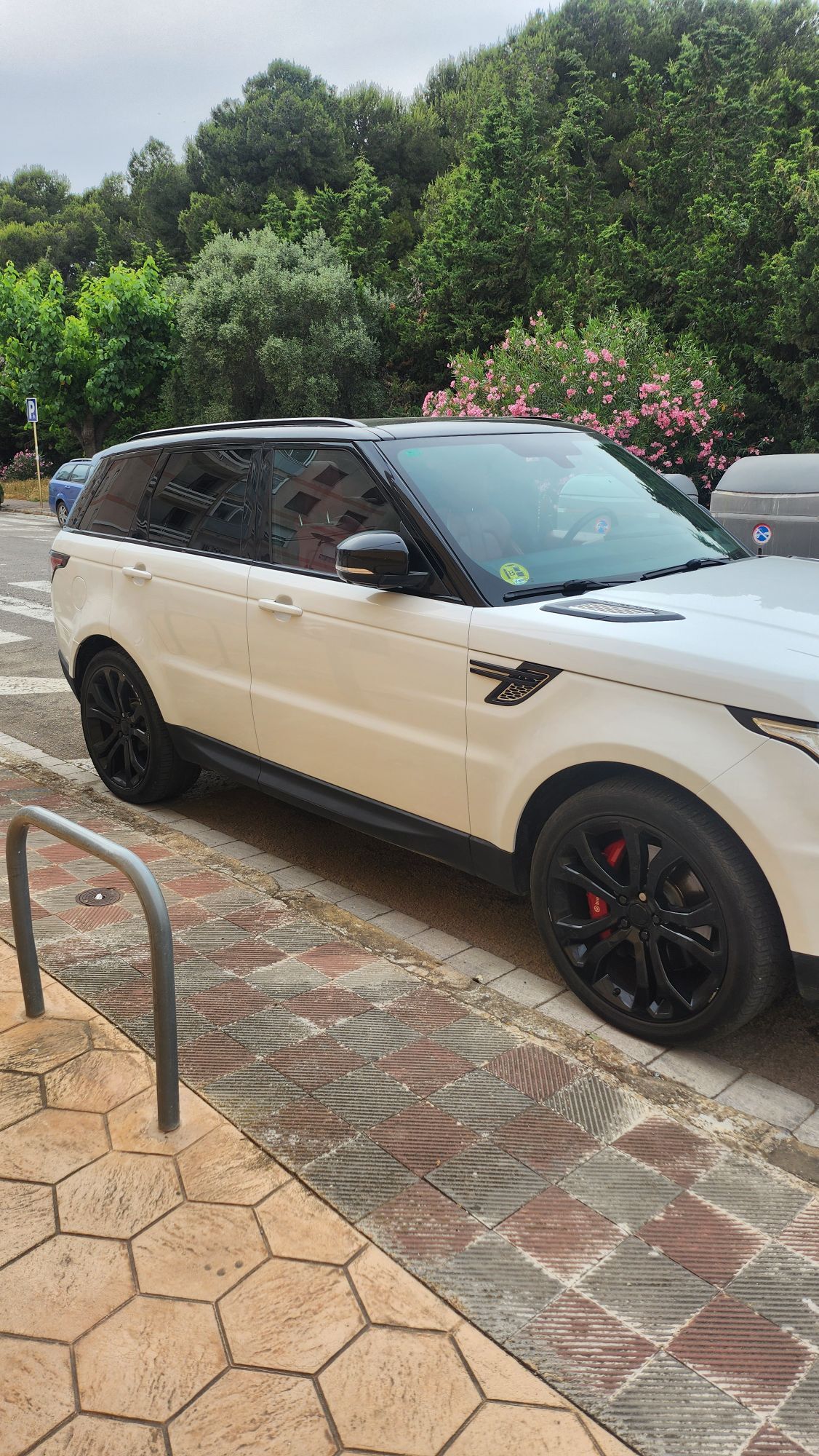 Foto del LAND ROVER Range Rover Sport 3.0SDV6 Autobiography Aut.