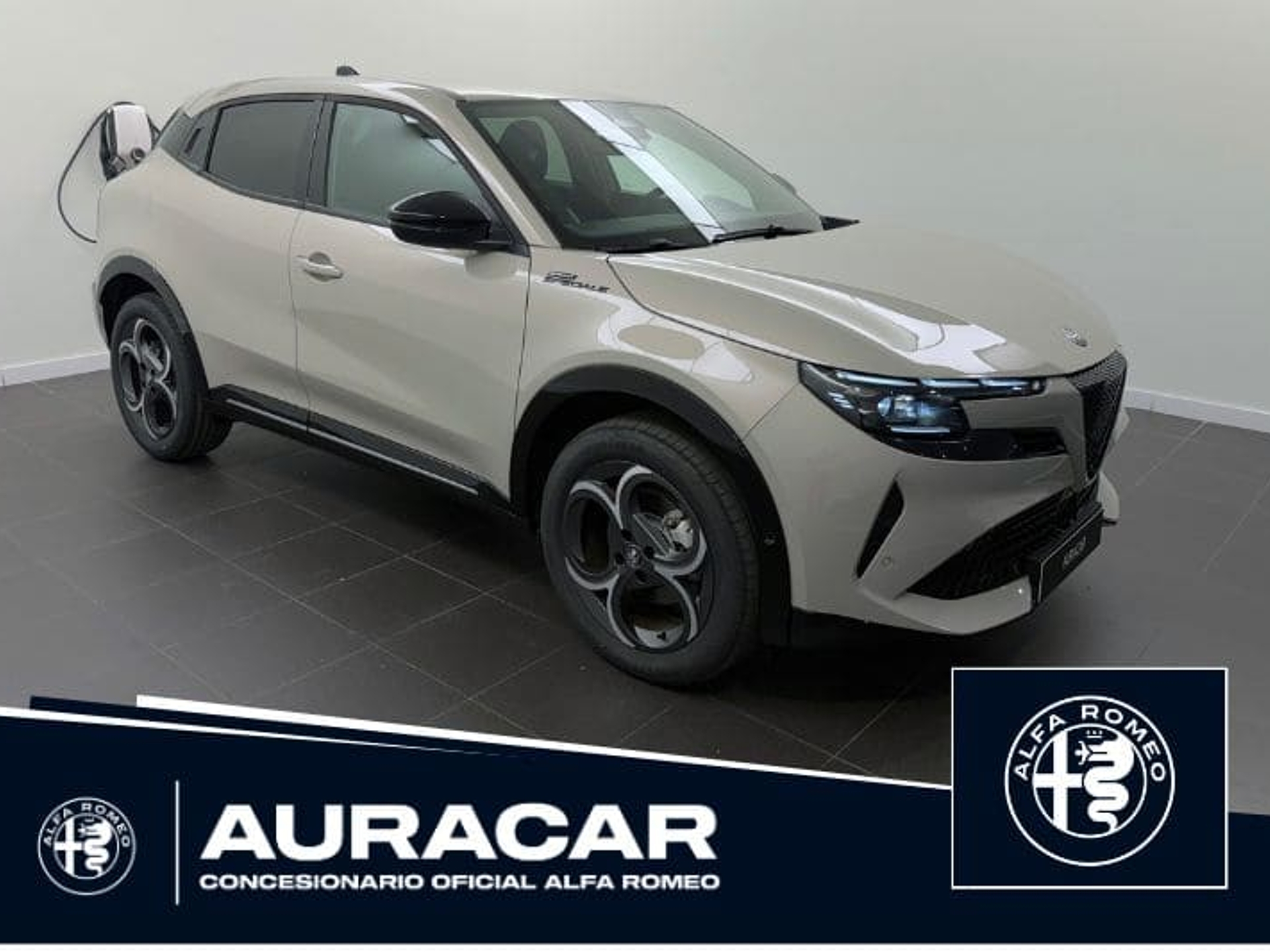 Imagen de ALFA ROMEO Junior