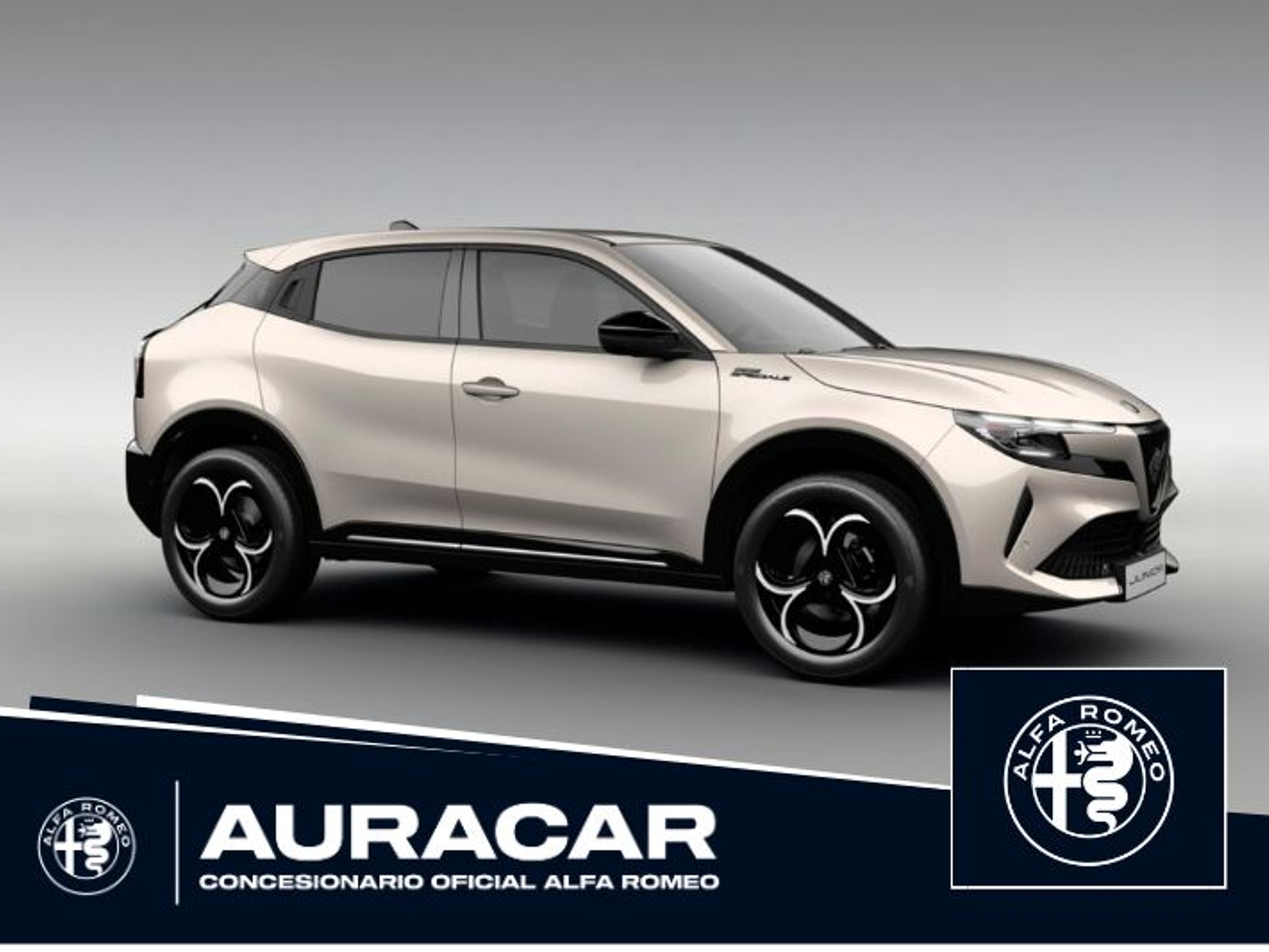 Imagen de ALFA ROMEO Junior