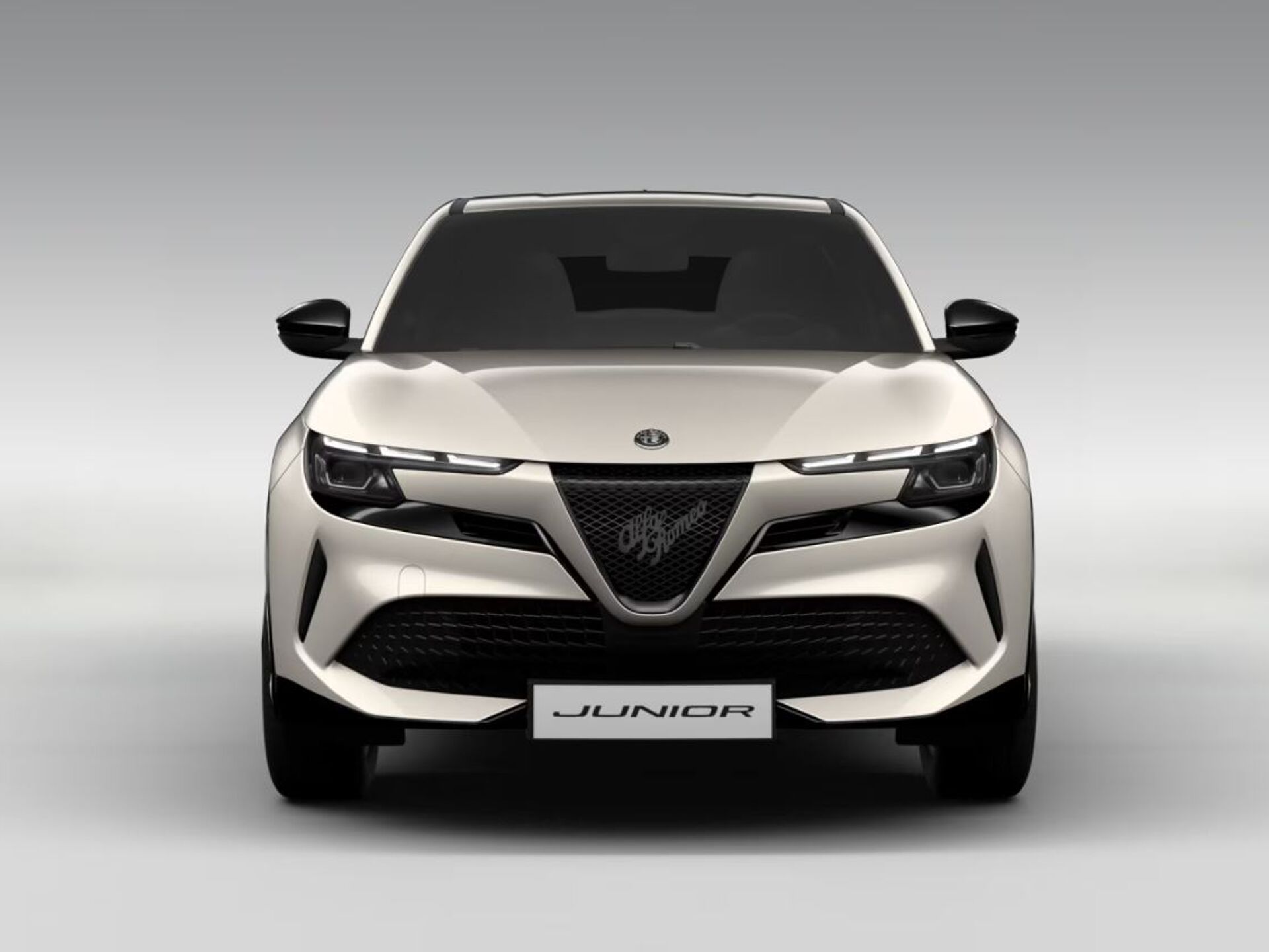 Imagen 2 de ALFA ROMEO Junior