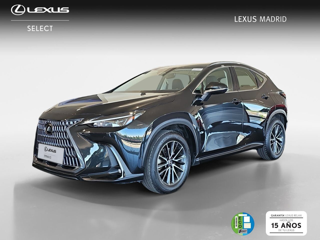 LEXUS NX (350h Business City 2WD) en Madrid