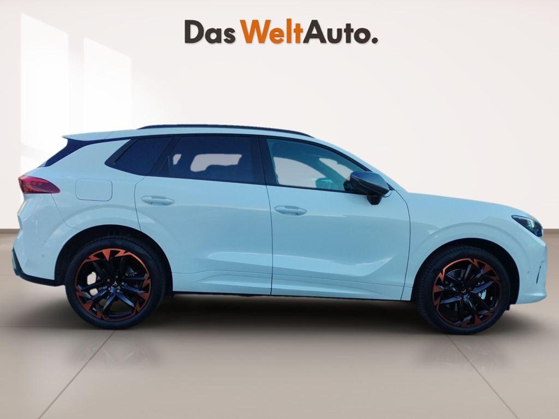 Imagen 3 de CUPRA Terramar