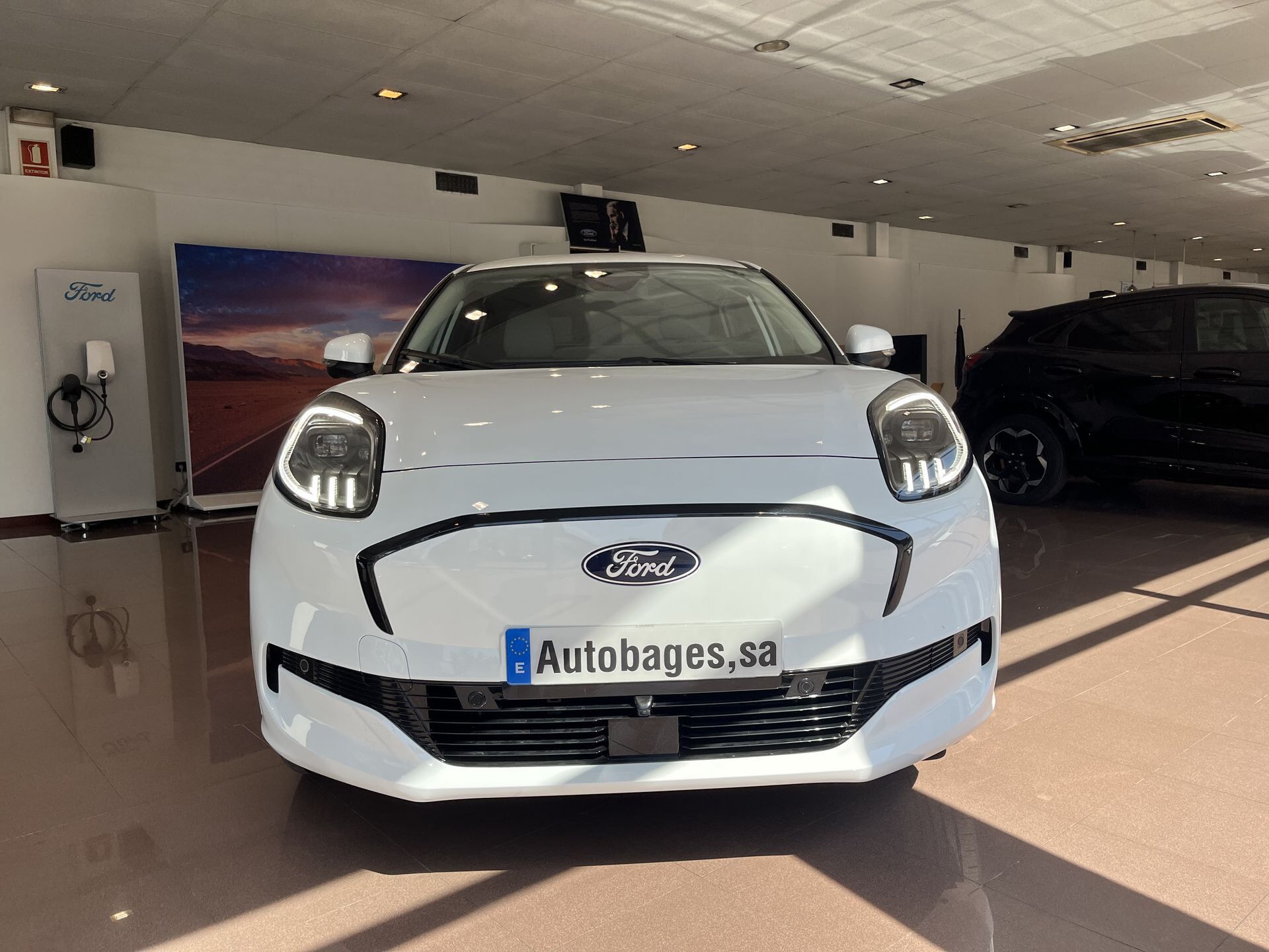 Imagen 2 de FORD Puma