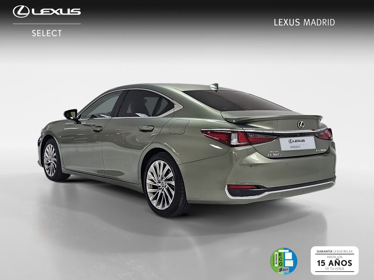 Foto del LEXUS ES 300h Luxury
