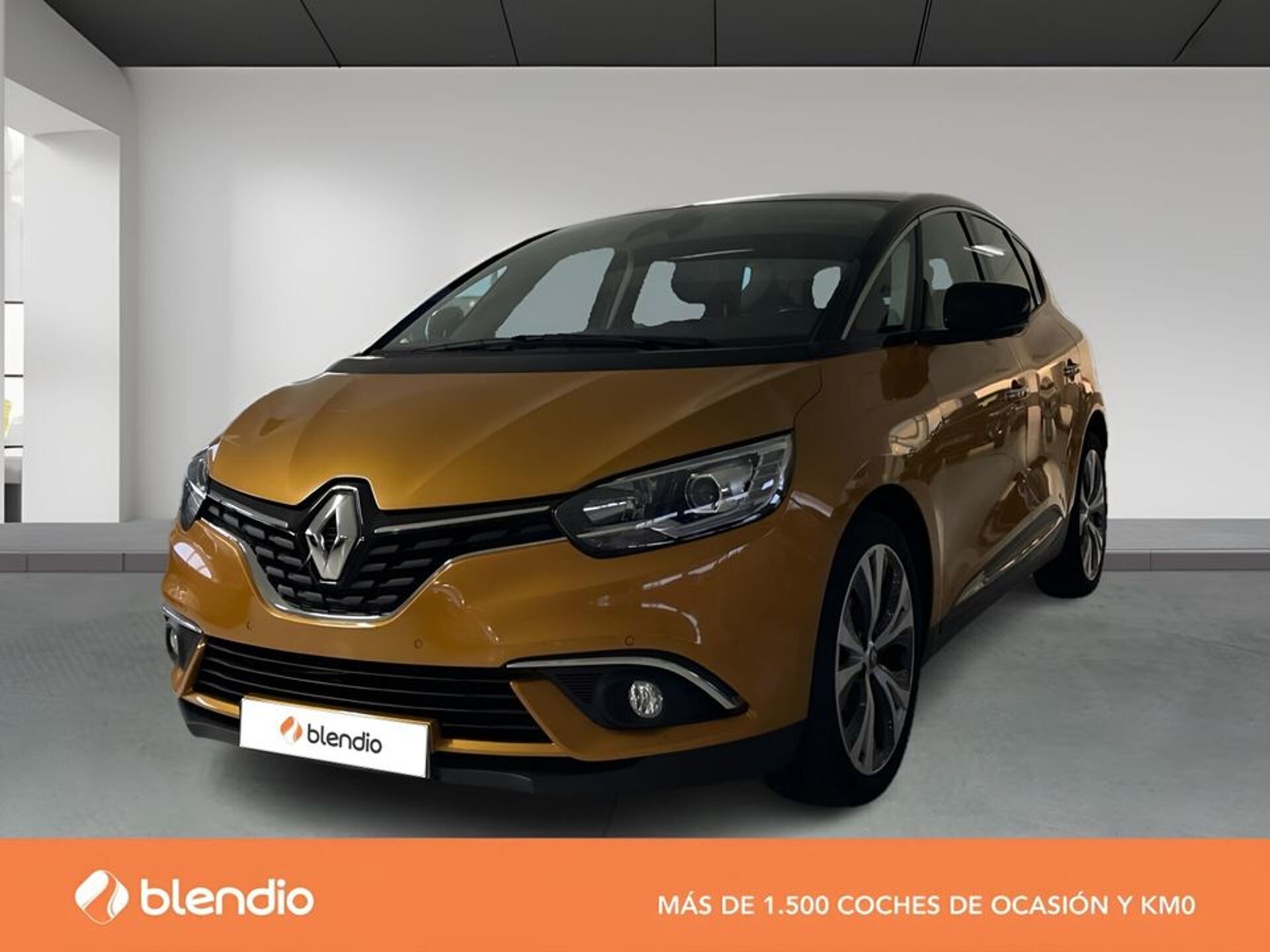 Imagen 1 de RENAULT Scénic