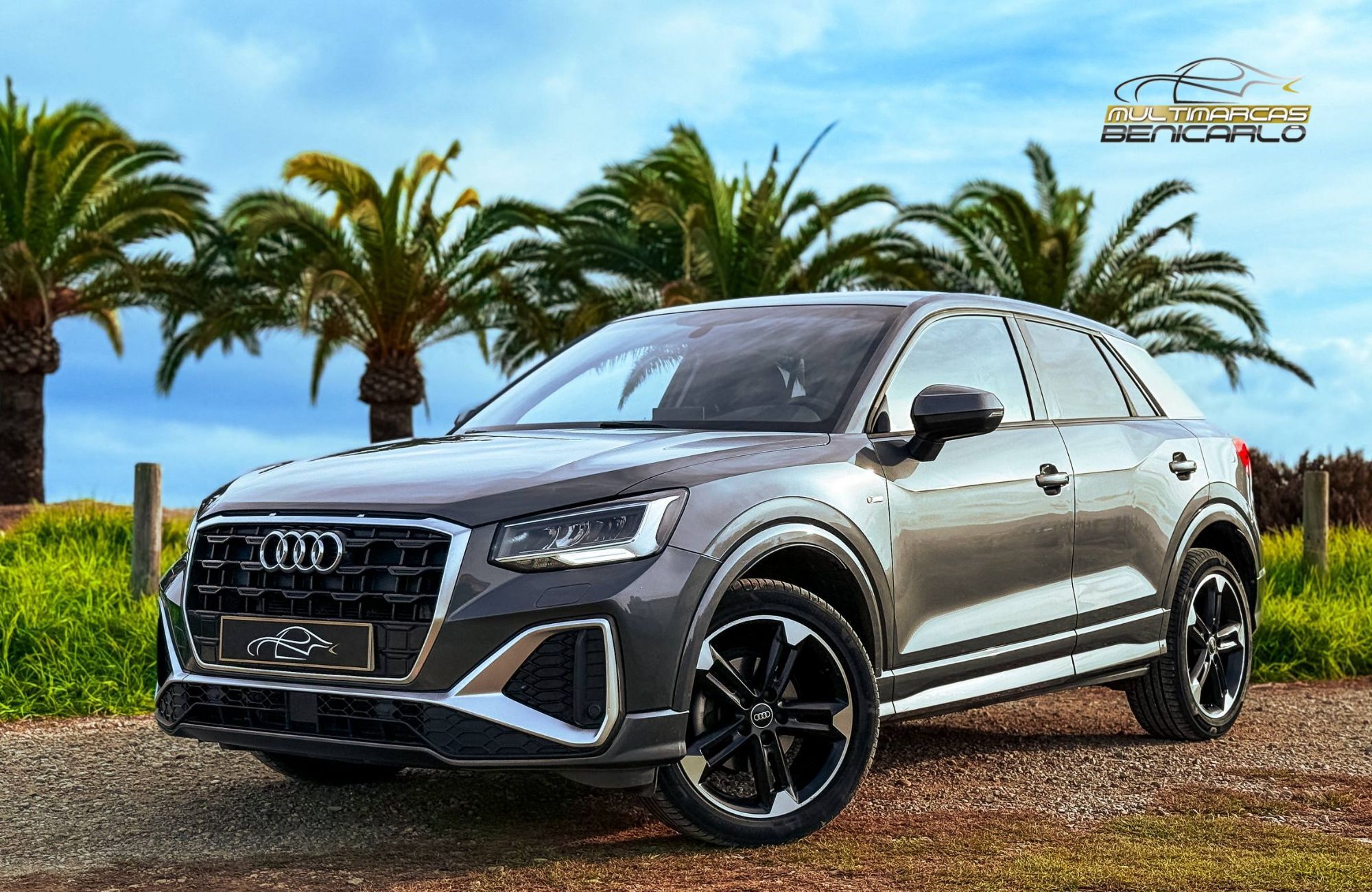 AUDI Q2 (30 TDI S line S tronic 85kW) en Castellón