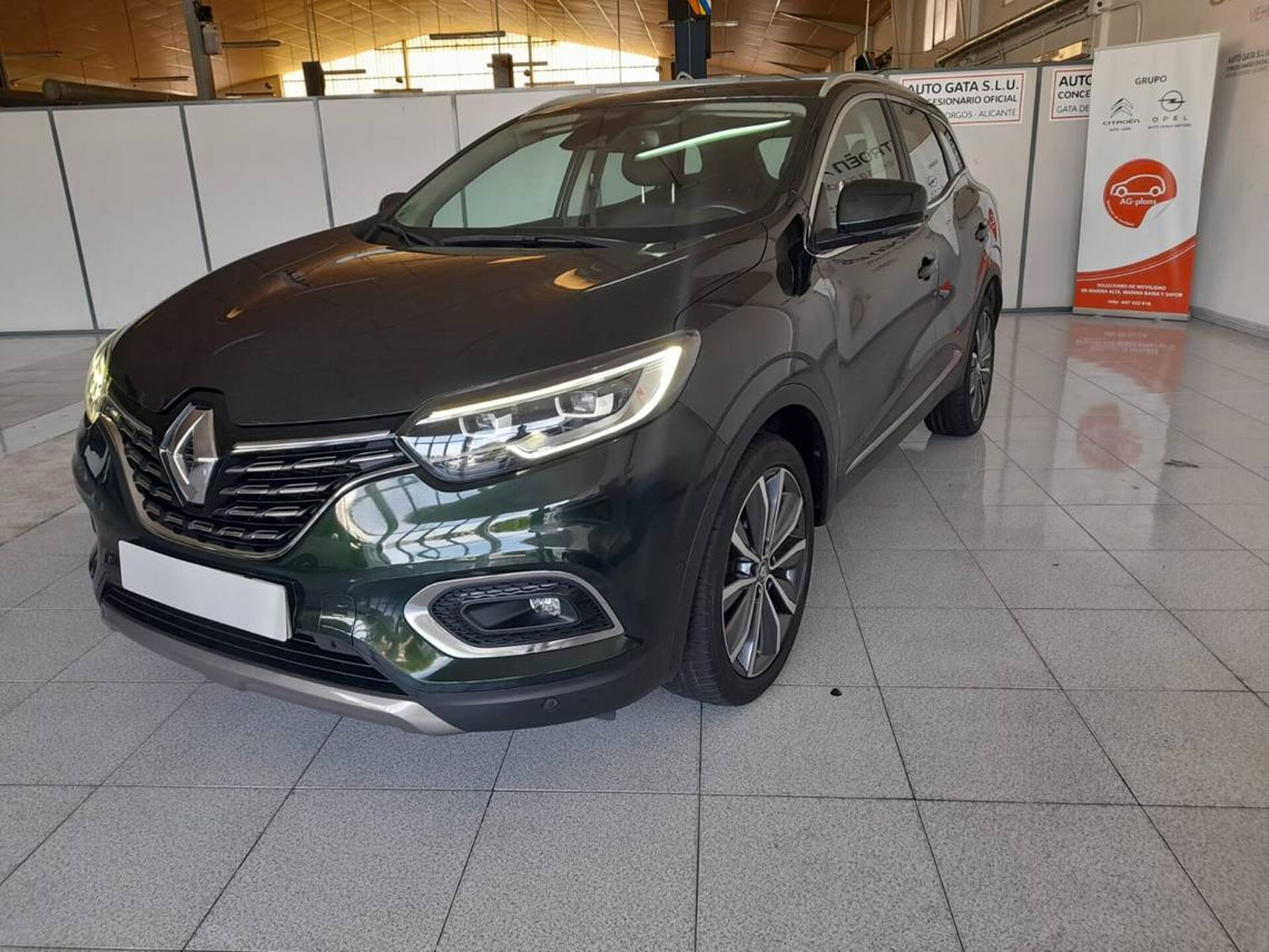 Imagen de RENAULT Kadjar