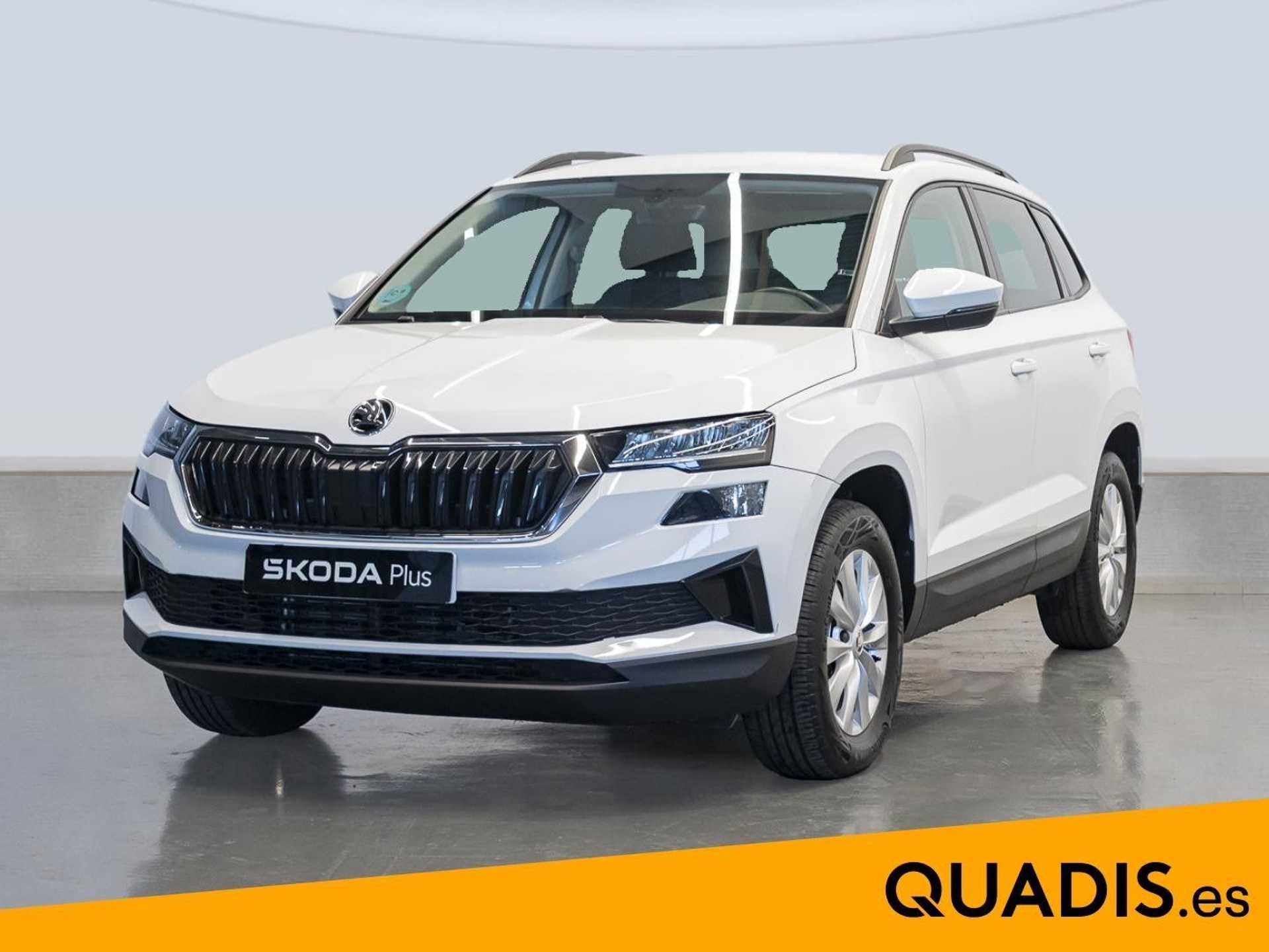 Imagen de SKODA Karoq