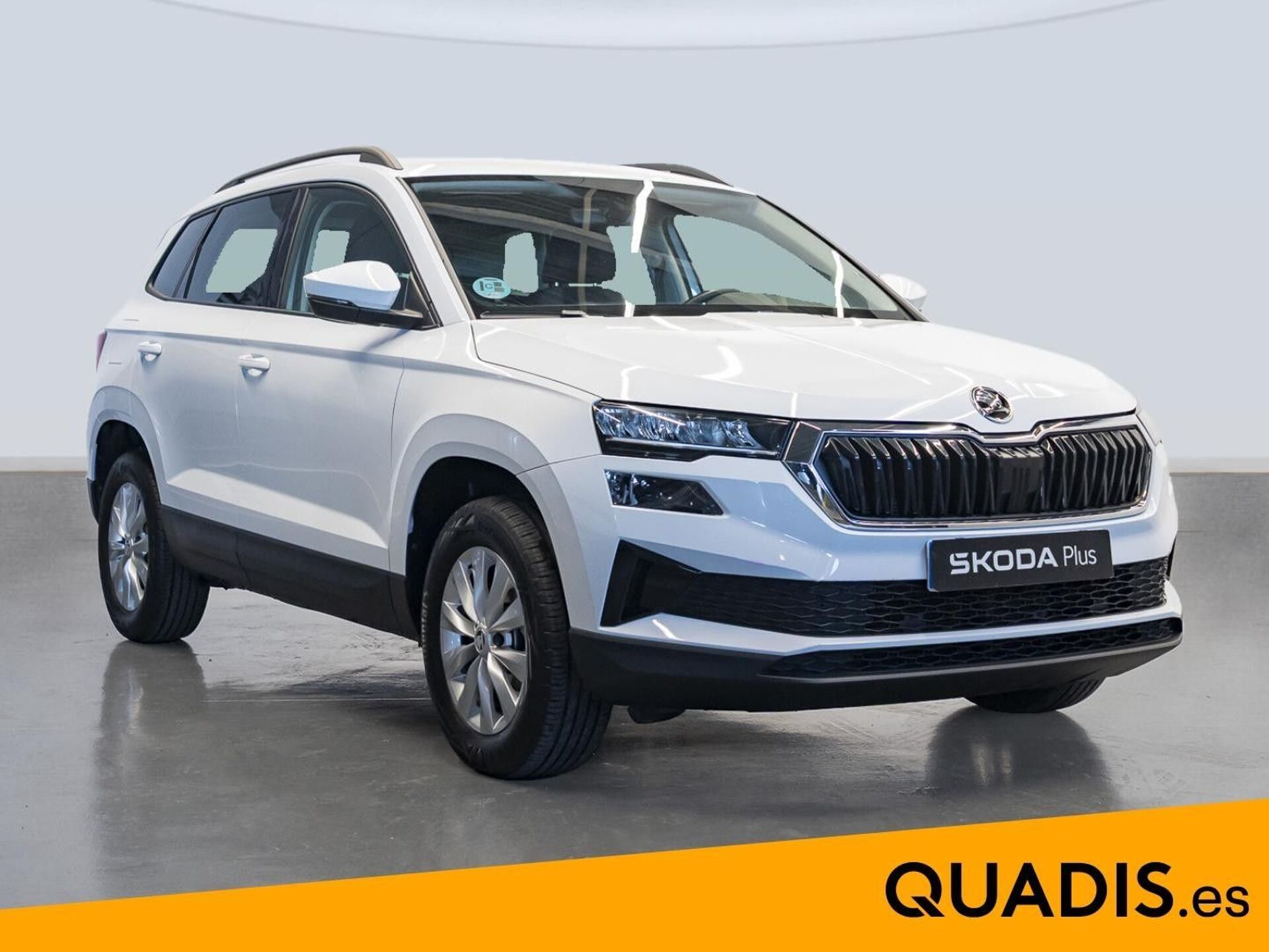 Imagen 3 de SKODA Karoq