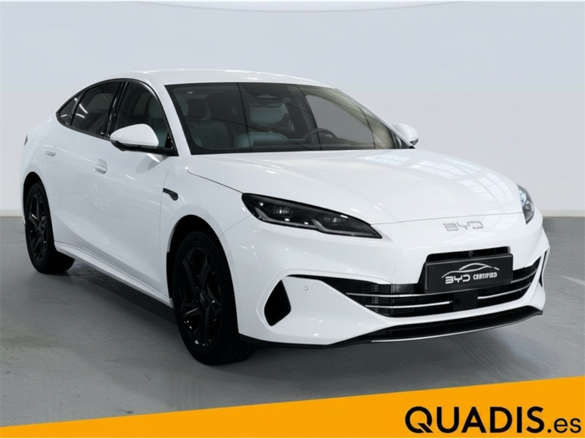 Imagen 3 de BYD Seal 6