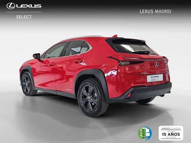 Foto del LEXUS UX 250h Business 4WD