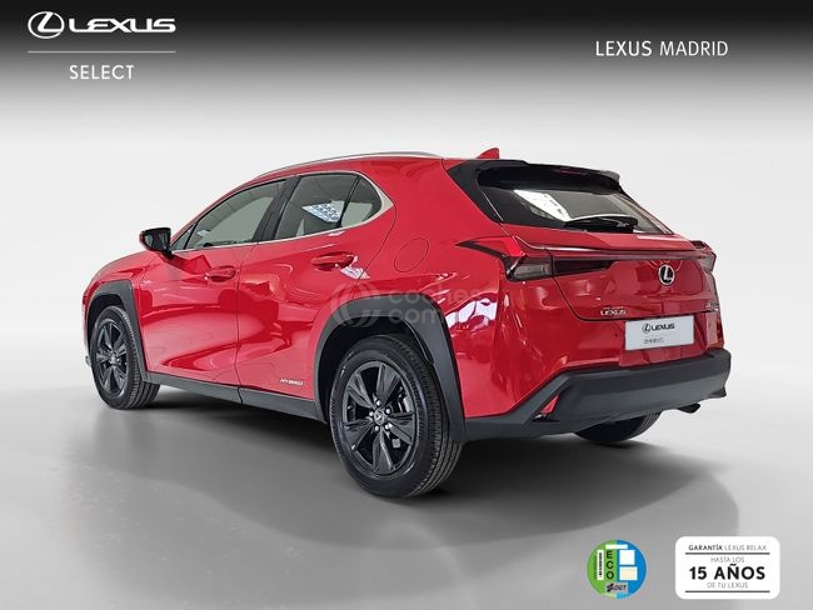 Foto del LEXUS UX 250h Business 4WD