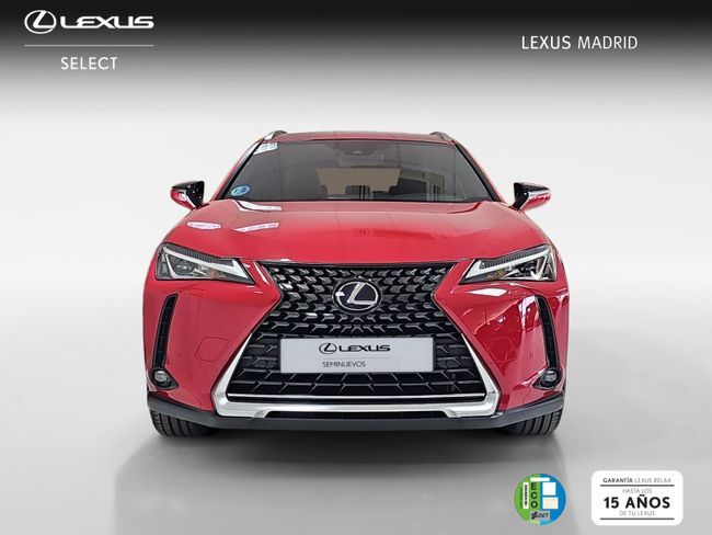 Foto del LEXUS UX 250h Business 4WD