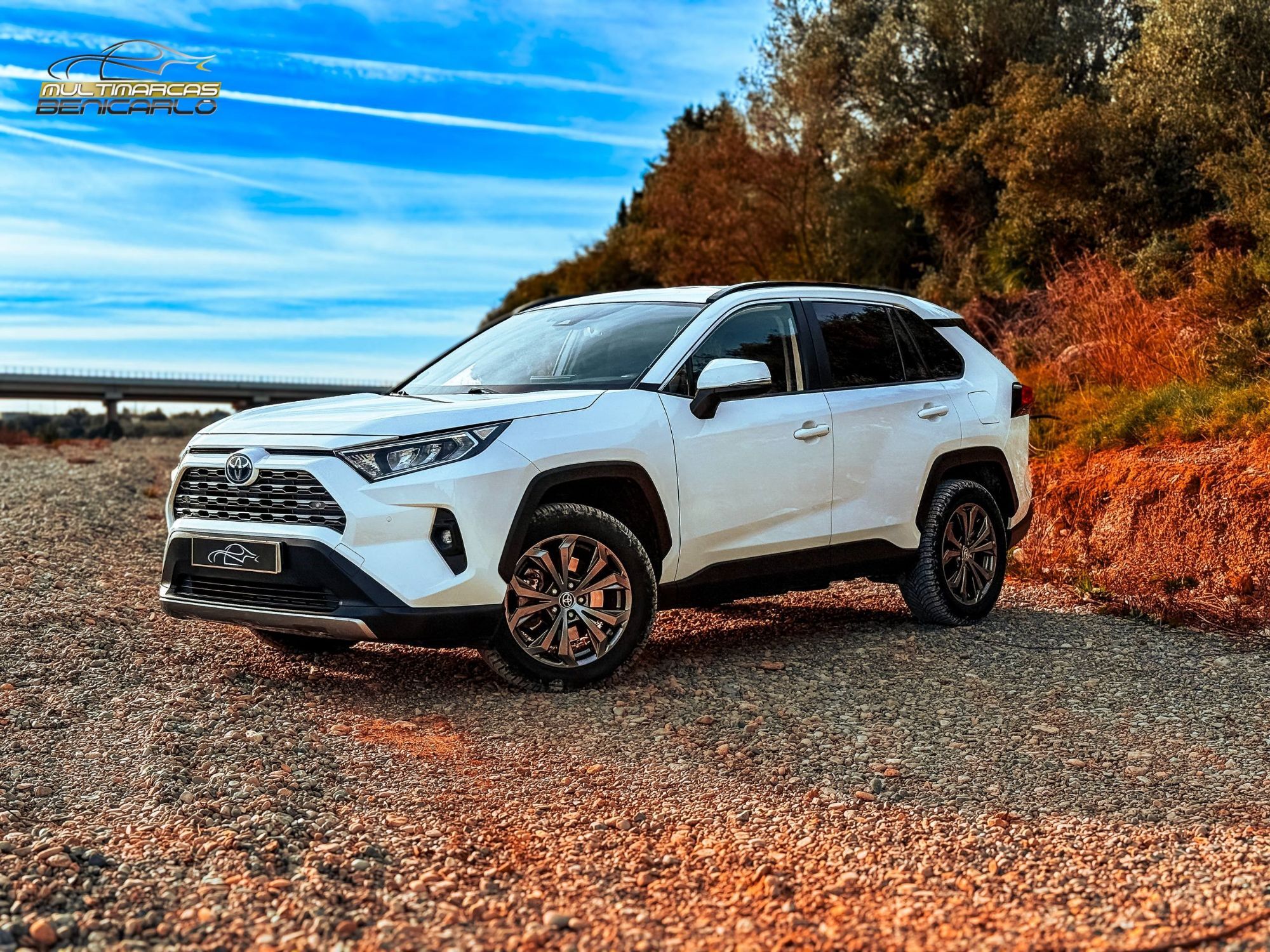 Foto del TOYOTA RAV-4 2.5 hybrid 2WD Advance