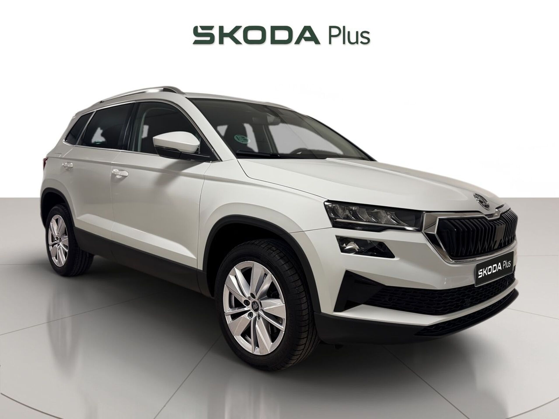 Imagen 1 de SKODA Karoq