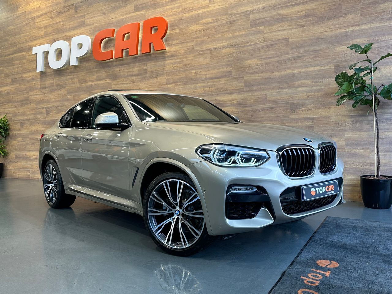 BMW X4 (2.0 Xdrive Auto M Sport) en Vizcaya