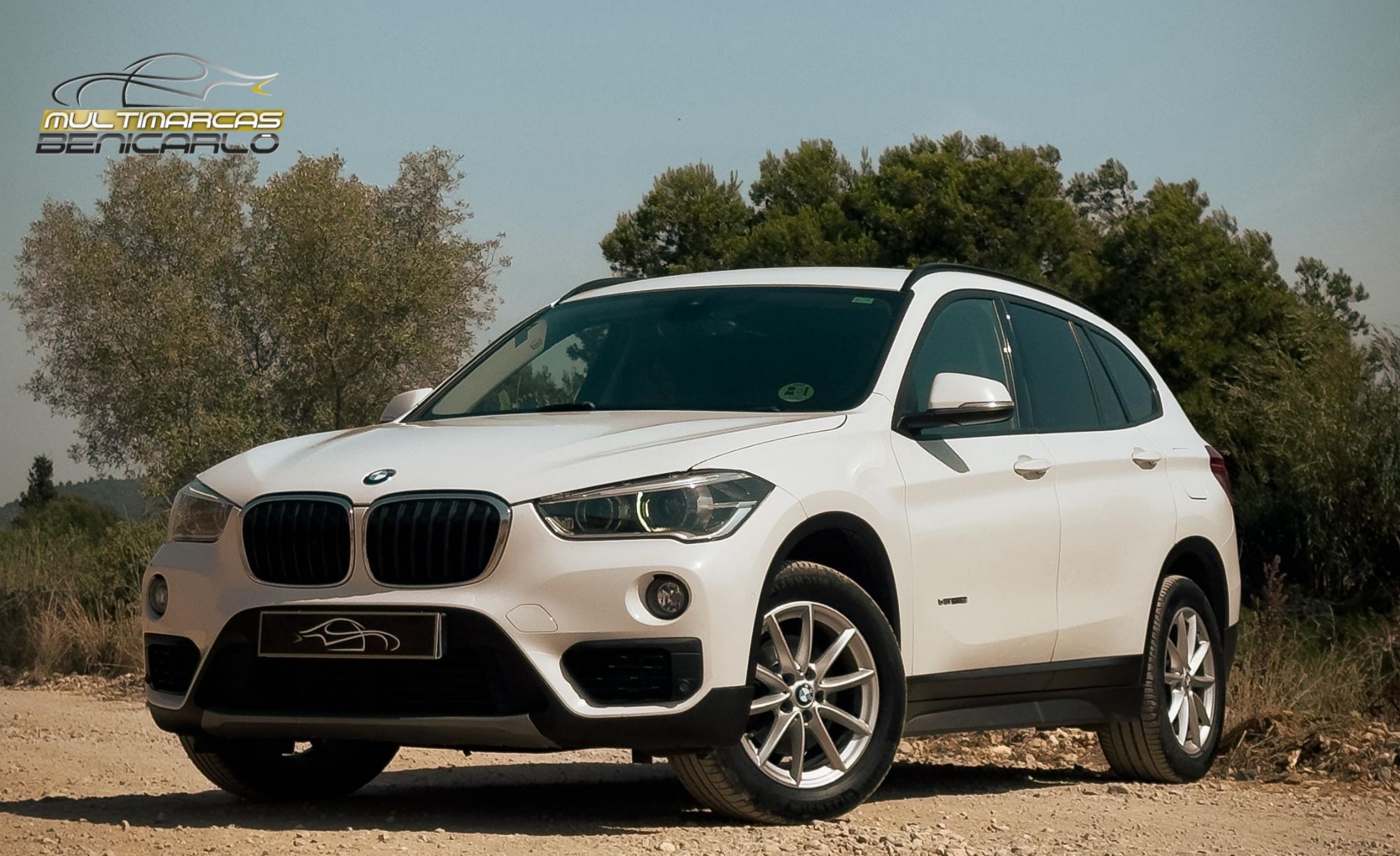 BMW X1 (xDrive 18d) en Castellón