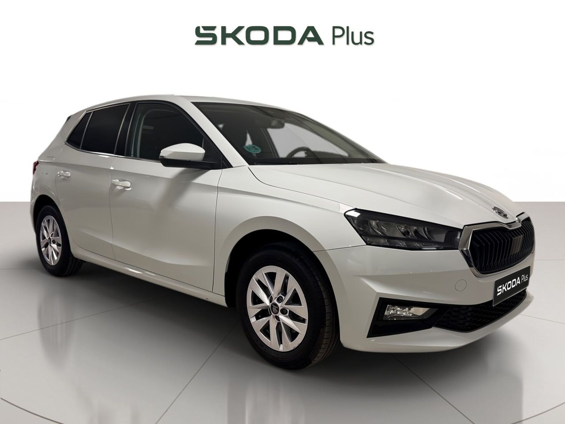 Imagen 1 de SKODA Fabia