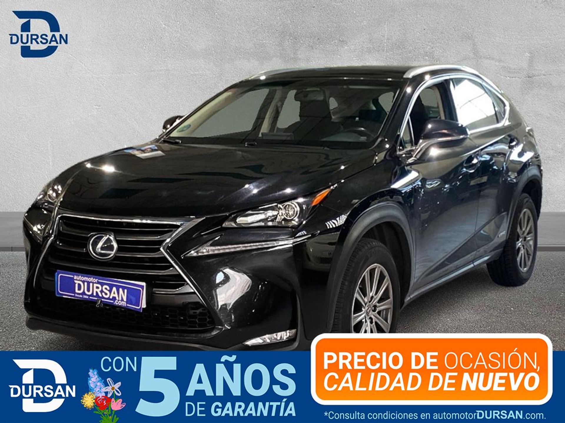 Imagen de LEXUS NX