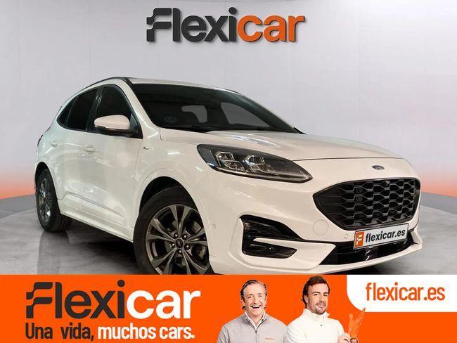 FORD Kuga (ST-Line 1.5T EcoBoost 110kW (150CV)) en Alicante