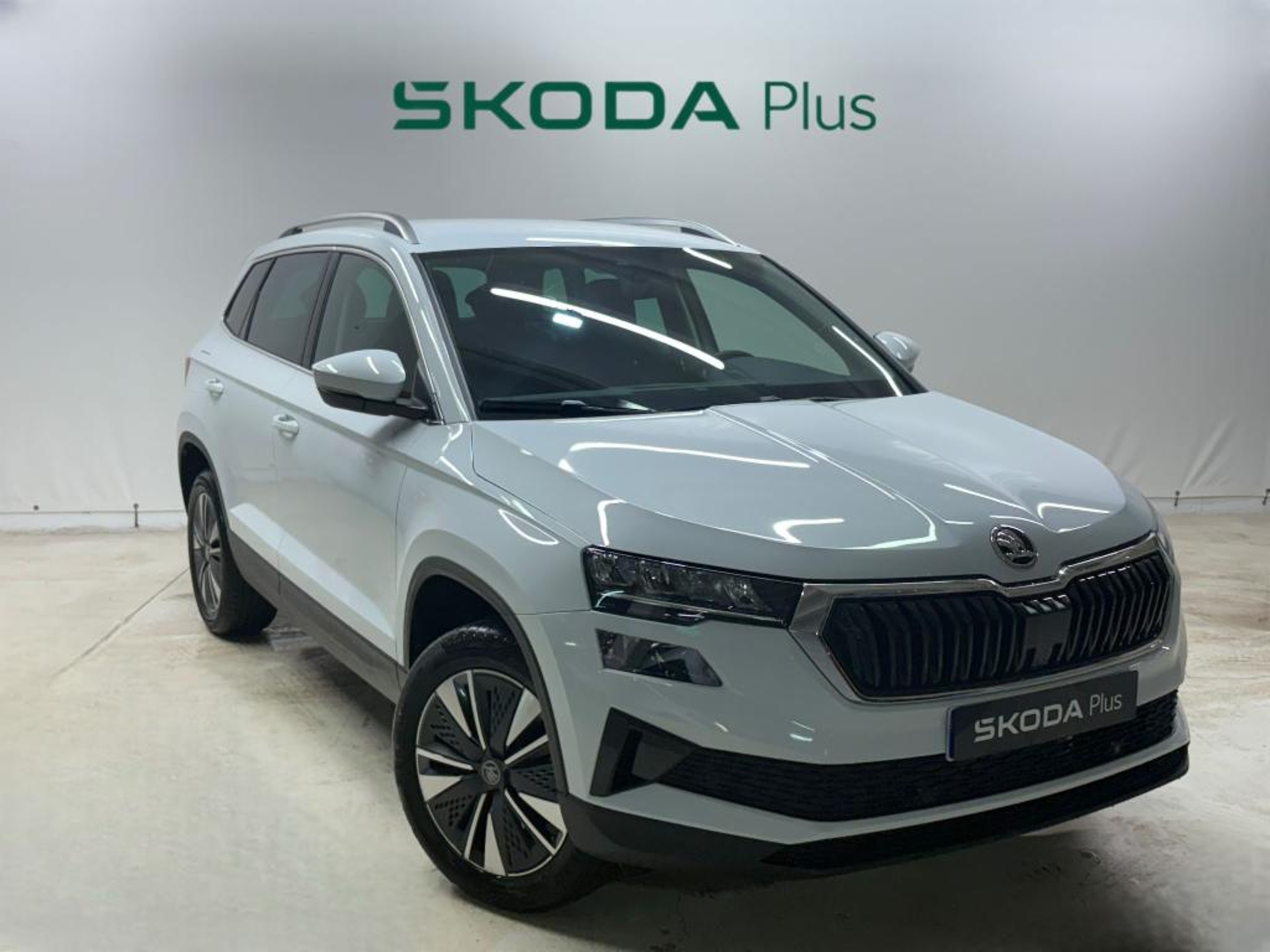 Imagen de SKODA Karoq