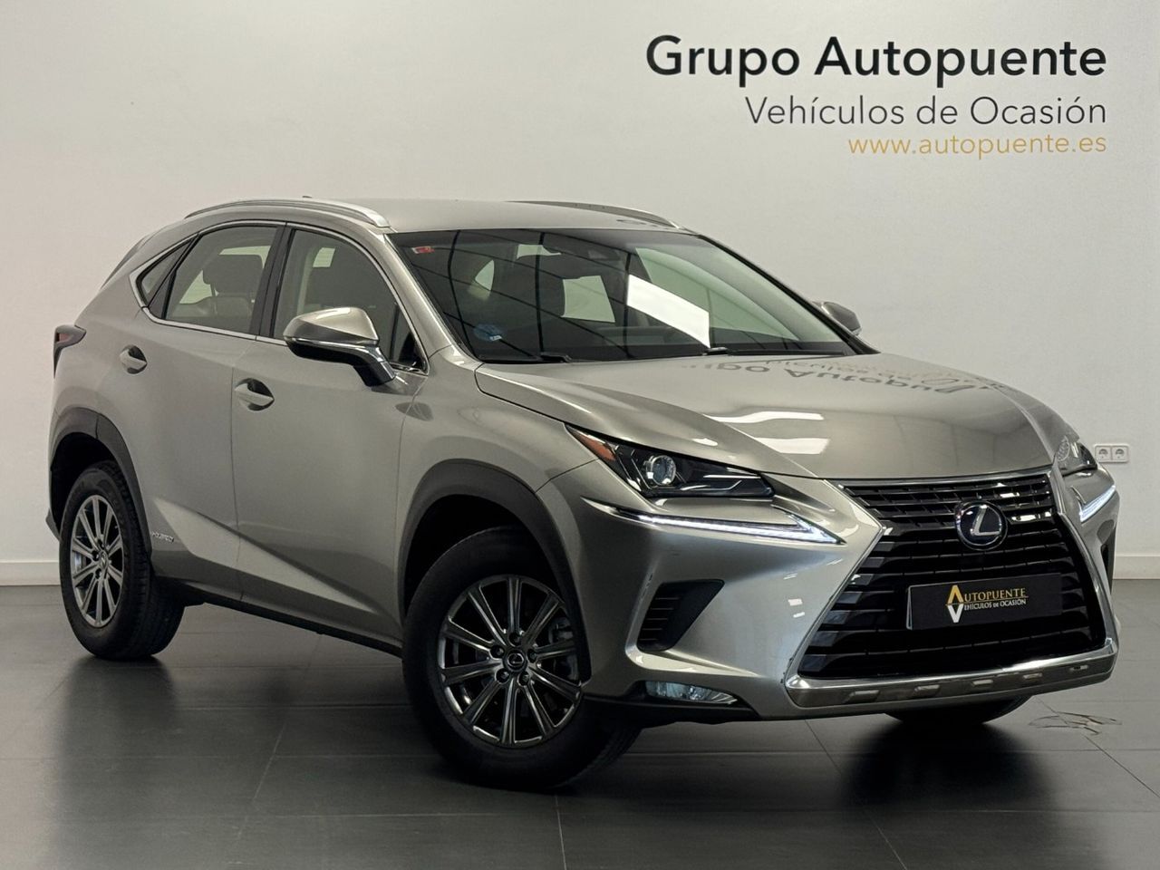 LEXUS NX (300H BUSINESS) en Murcia
