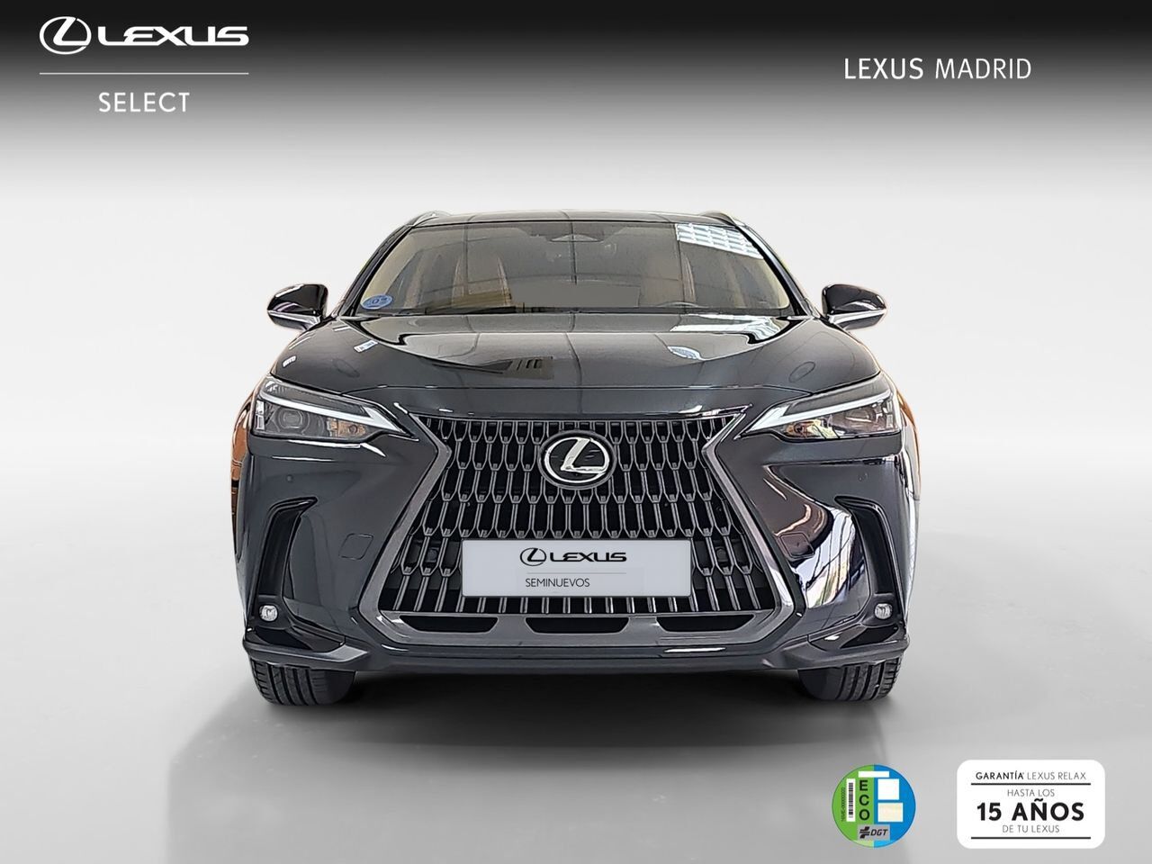 LEXUS NX (450h+ Premium+ 4WD) en Madrid