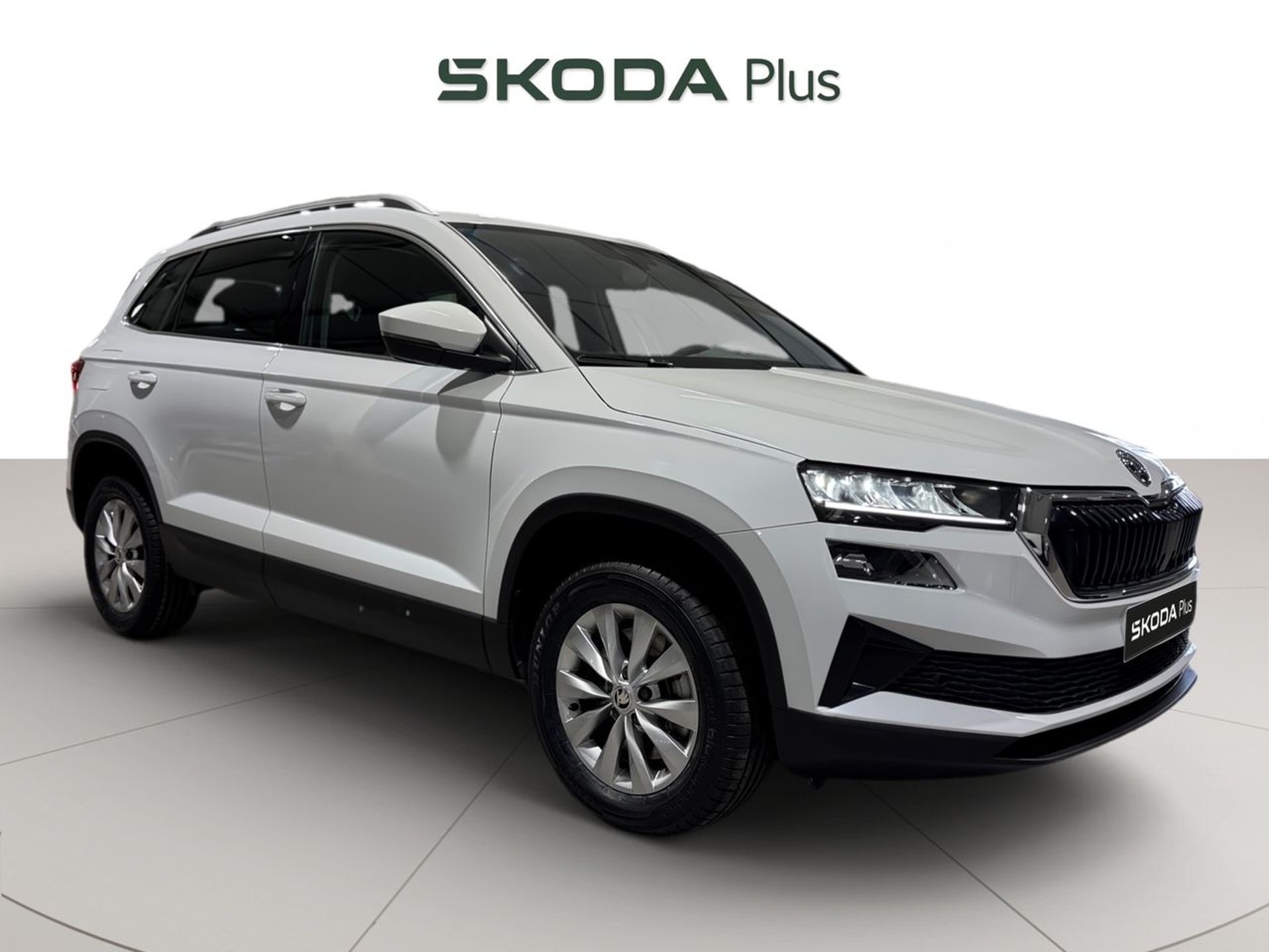 Imagen de SKODA Karoq