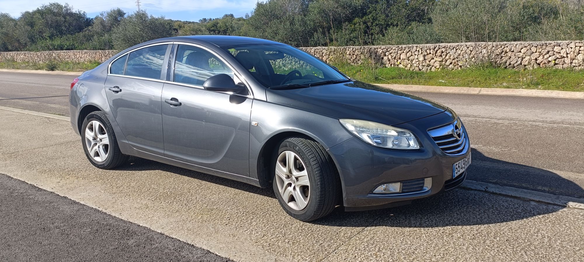 Foto del OPEL Insignia 2.0CDTI Edition