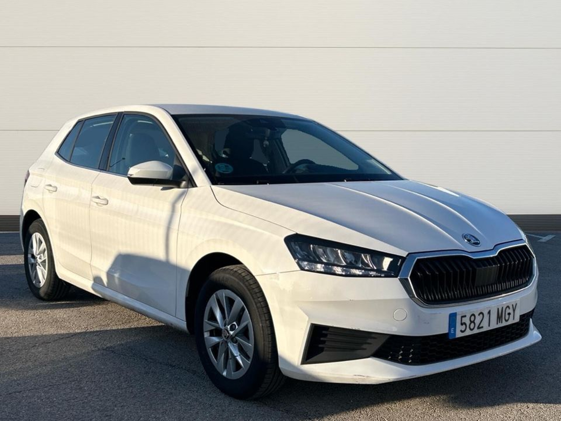 Imagen de SKODA Fabia