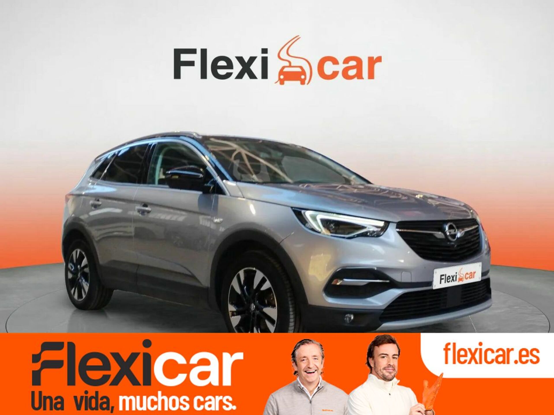 Imagen de OPEL Grandland X
