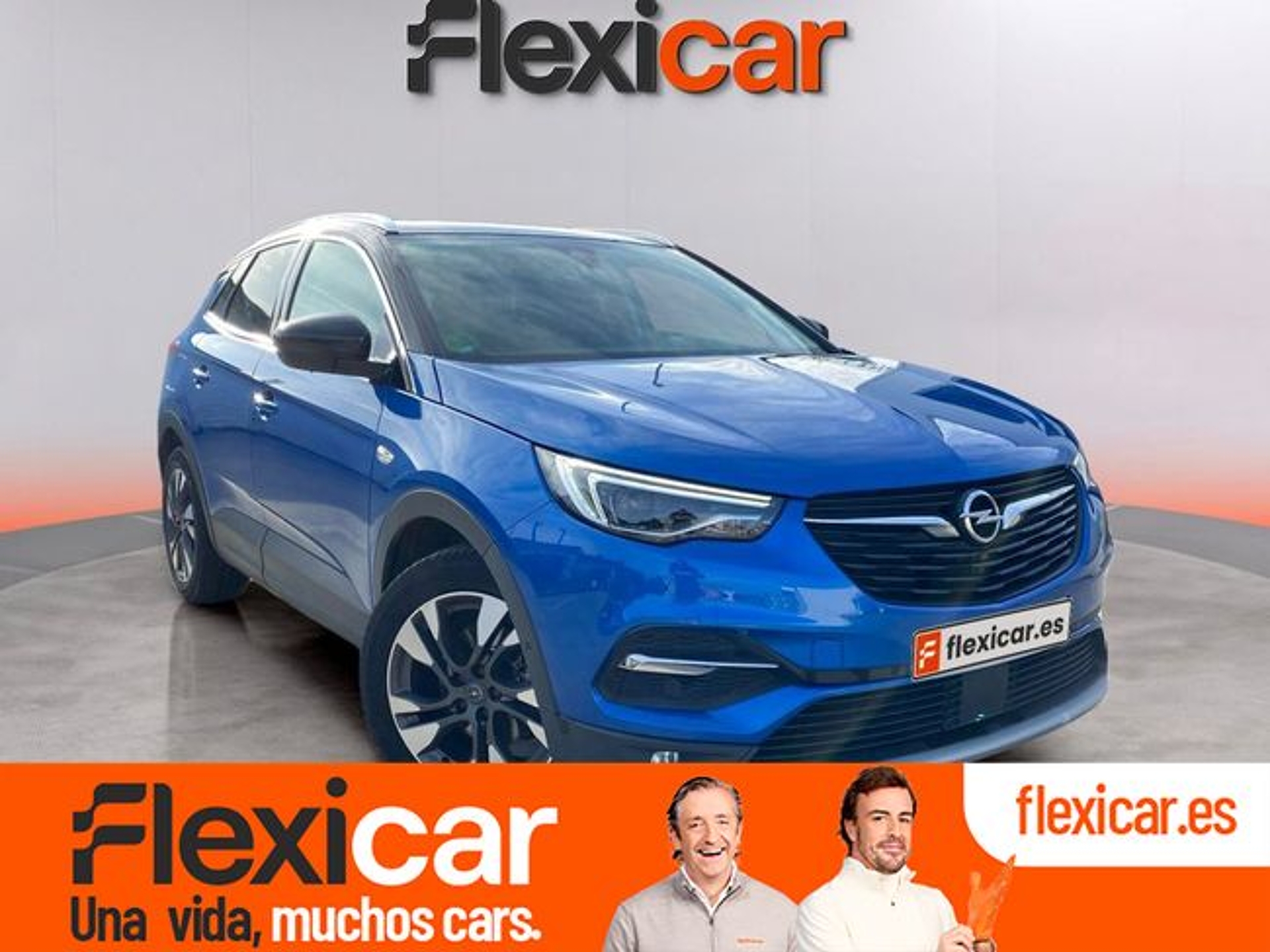 Imagen de OPEL Grandland X