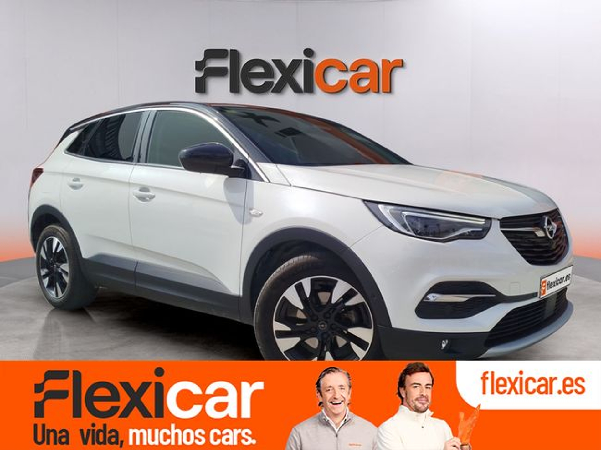 Imagen de OPEL Grandland X