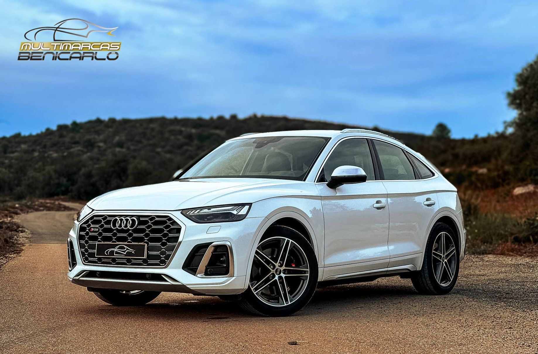 AUDI Q5 (S TDI quattro tiptronic 251KW) en Castellón