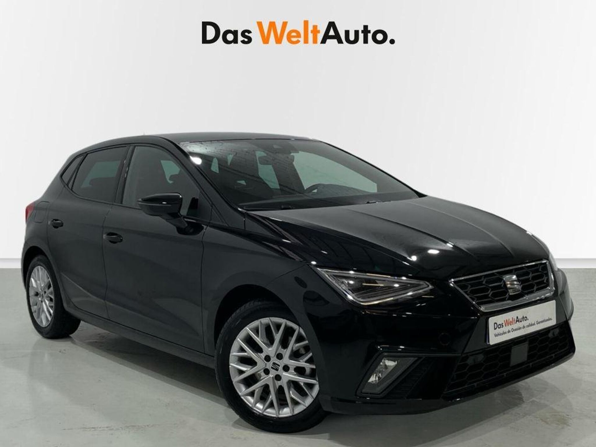 Imagen 1 de SEAT Ibiza