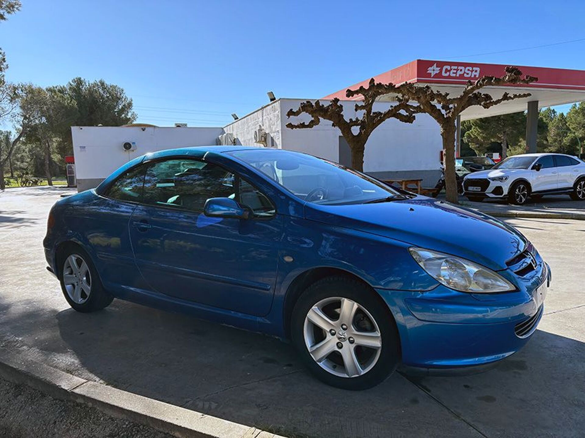 Imagen de PEUGEOT 307
