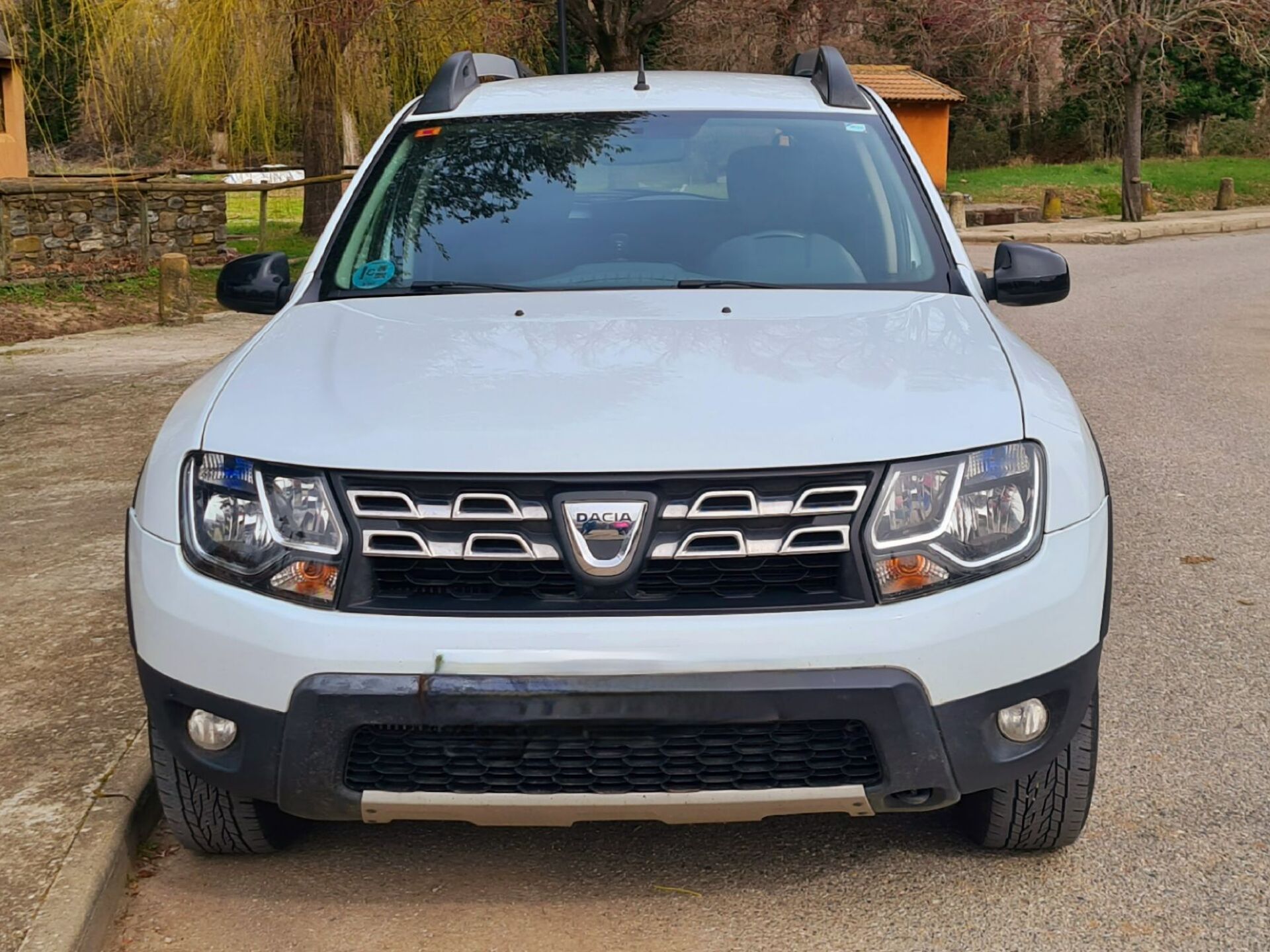 Imagen 1 de DACIA Duster