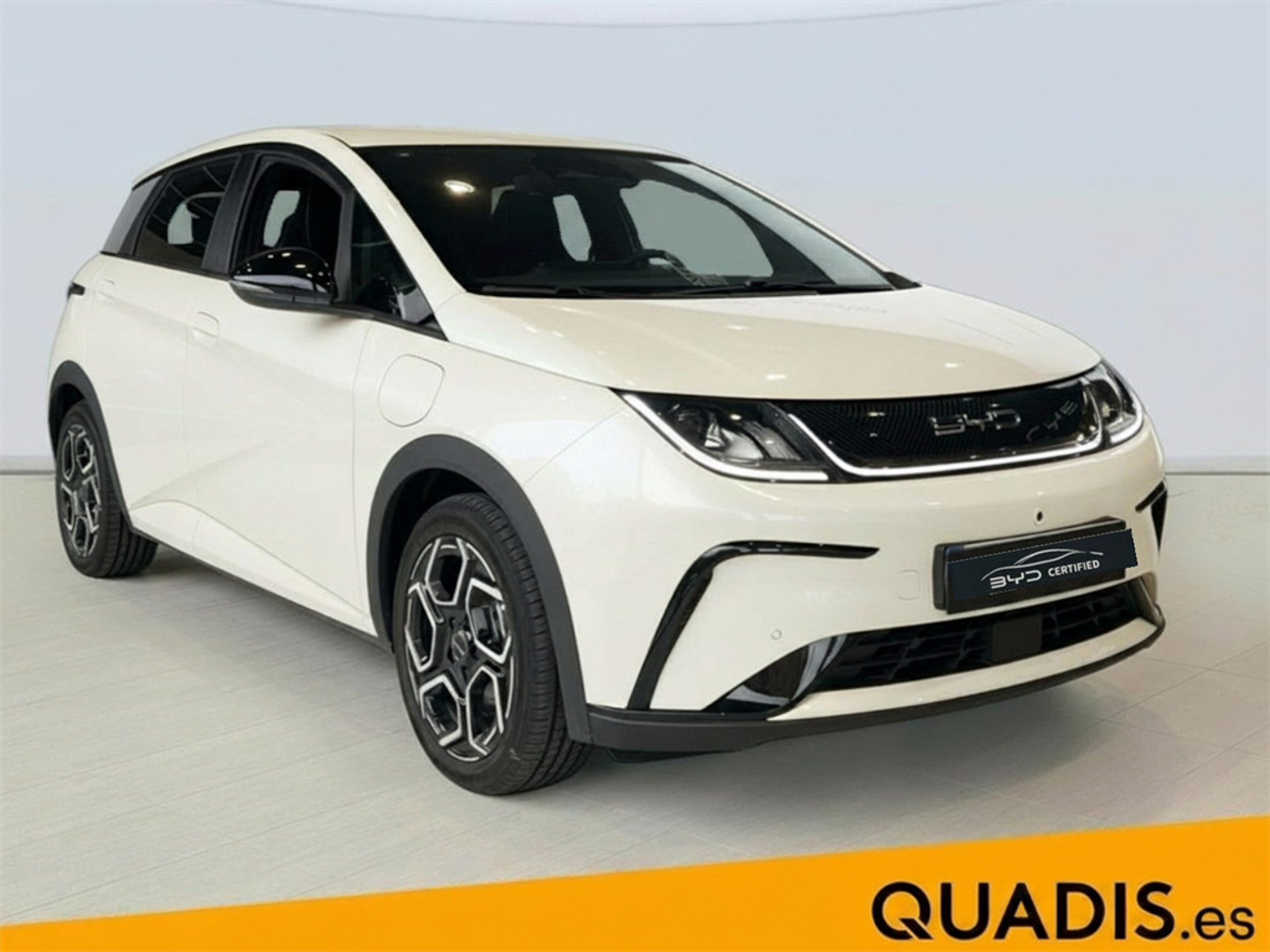 Imagen 3 de BYD Dolphin