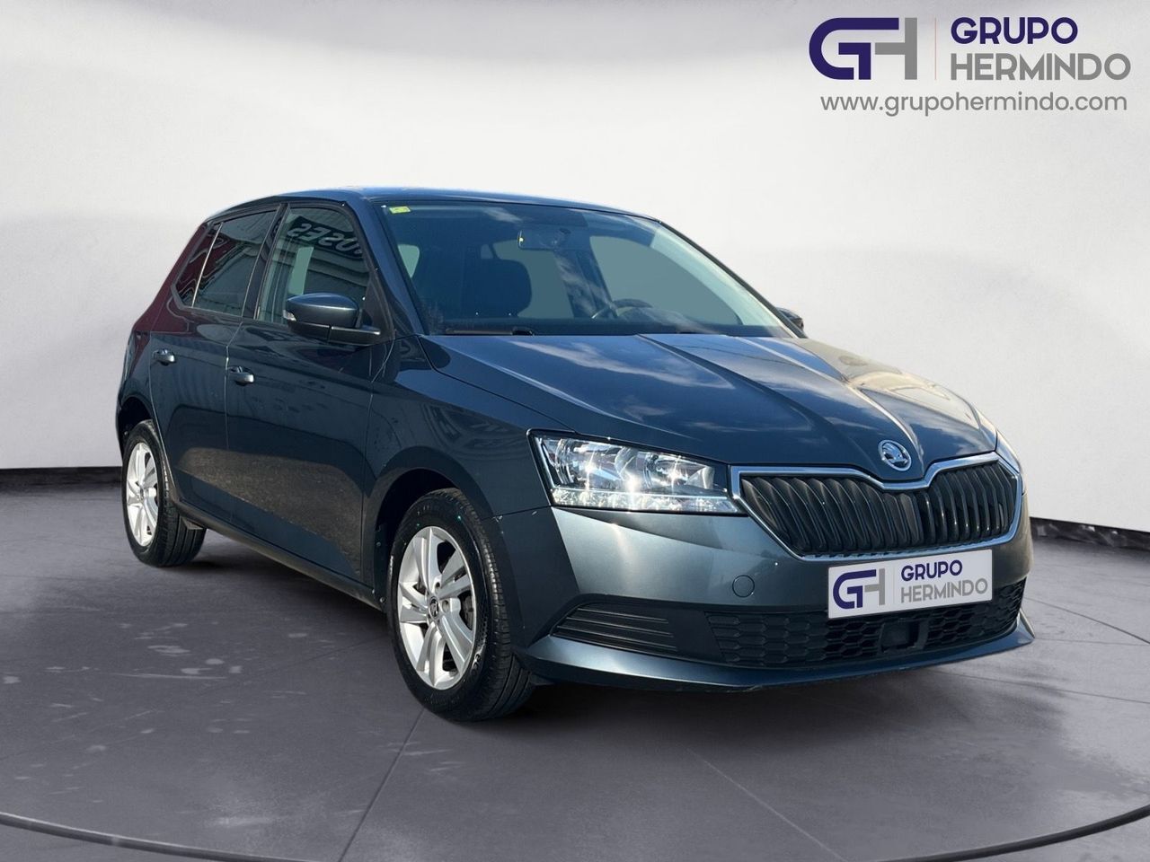 SKODA Fabia (1.0 MPI URBAN 60 CV) en Pontevedra
