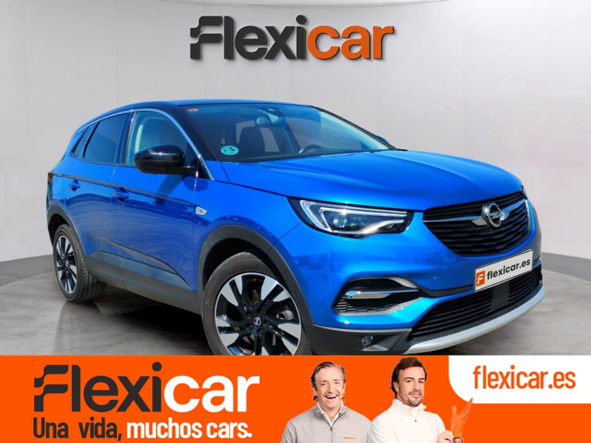Imagen de OPEL Grandland X