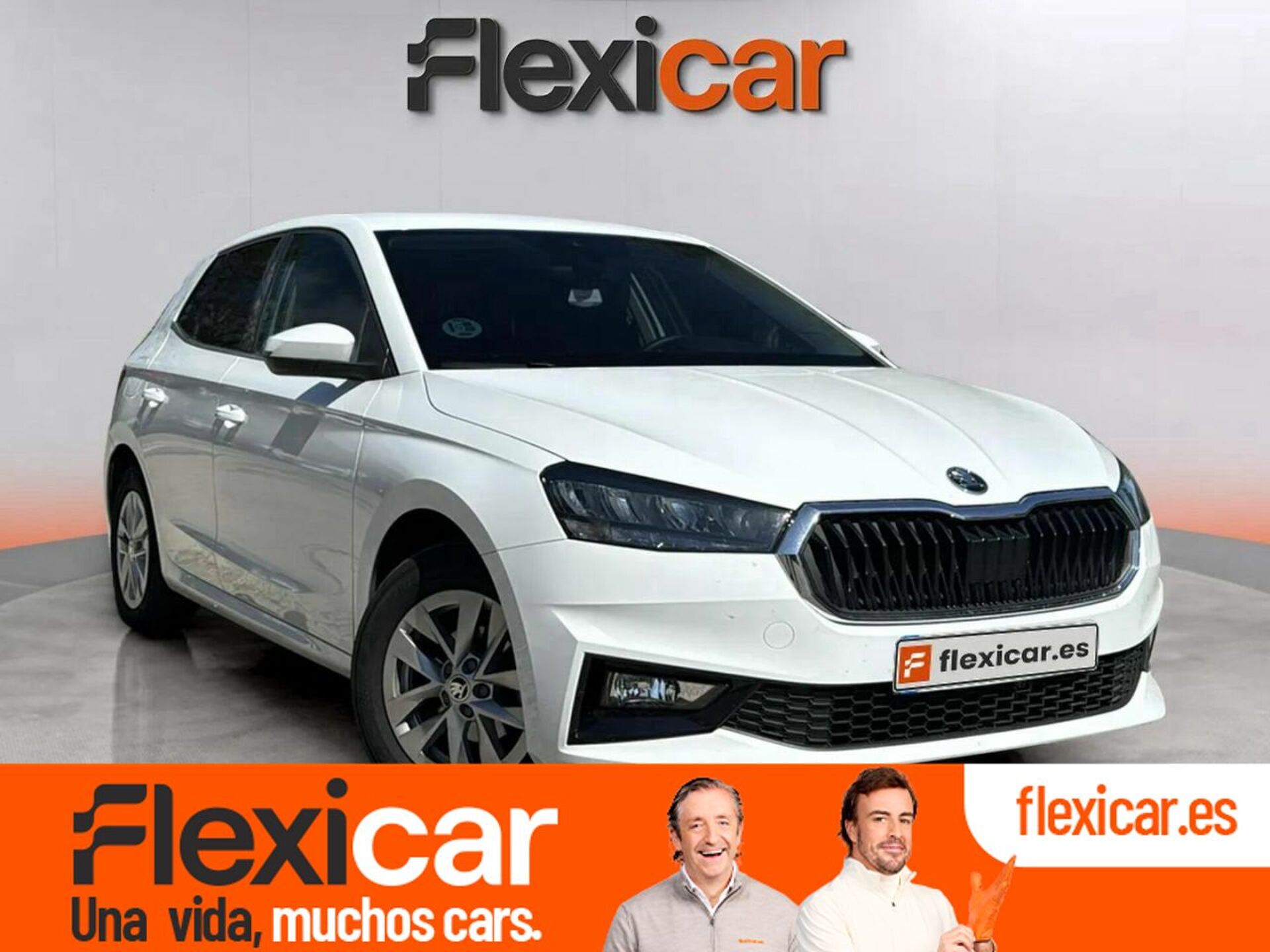 Imagen de SKODA Fabia