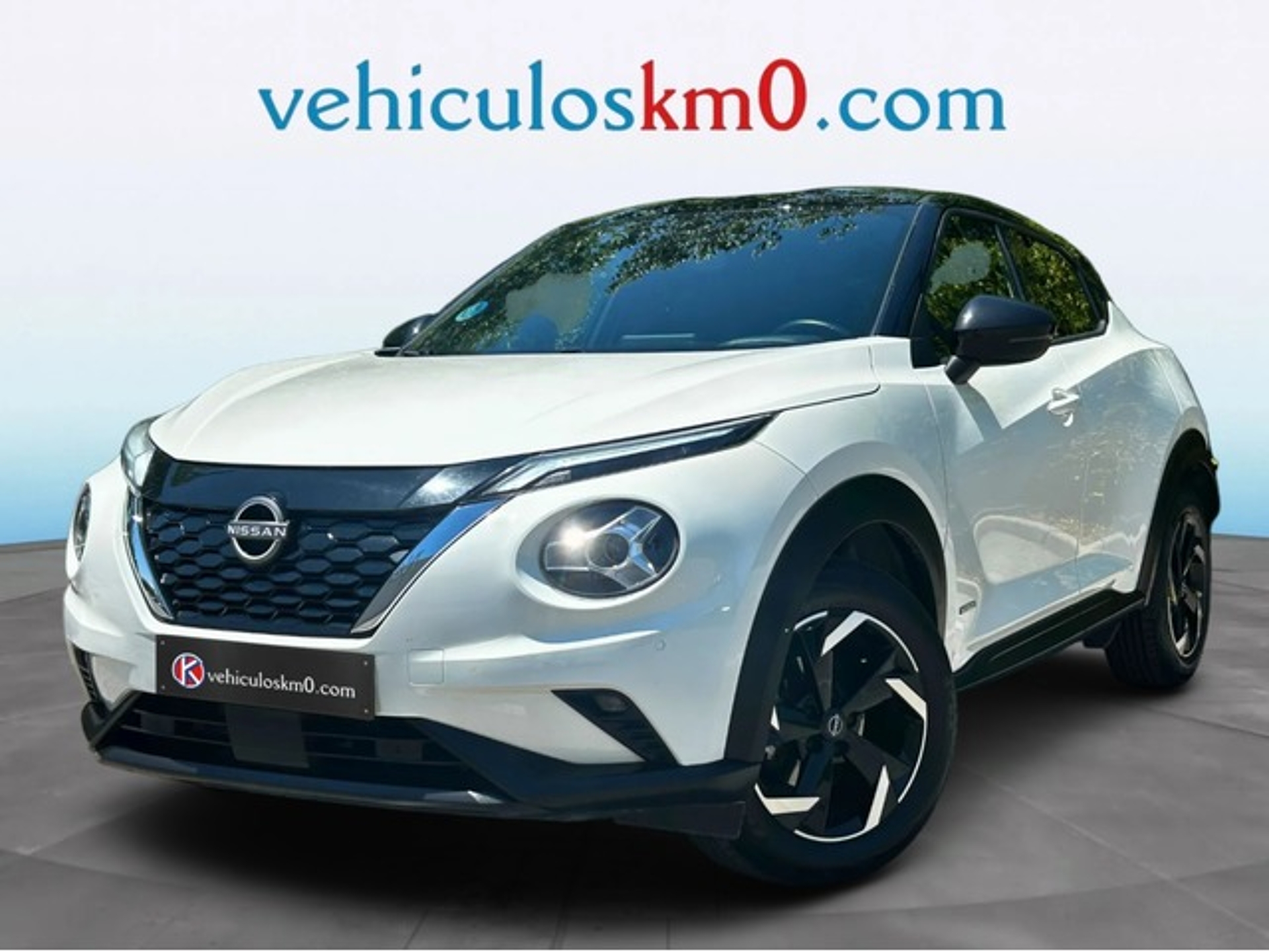 Imagen de NISSAN Juke