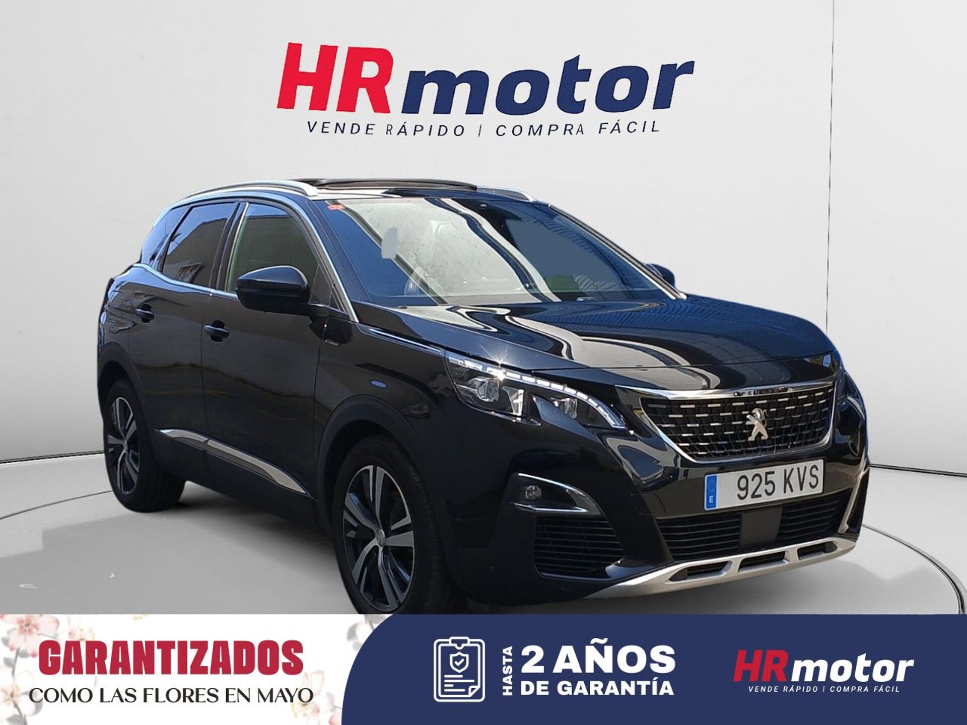 Imagen de PEUGEOT 3008