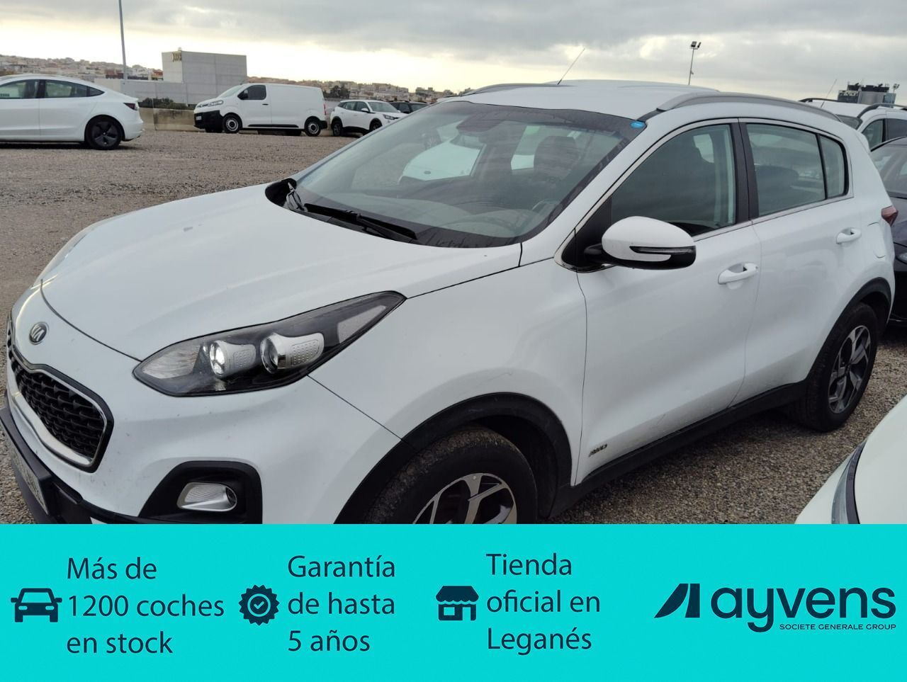 KIA Sportage (1.6 MHEV Business 4x4 100 kW (136 CV)) en Madrid