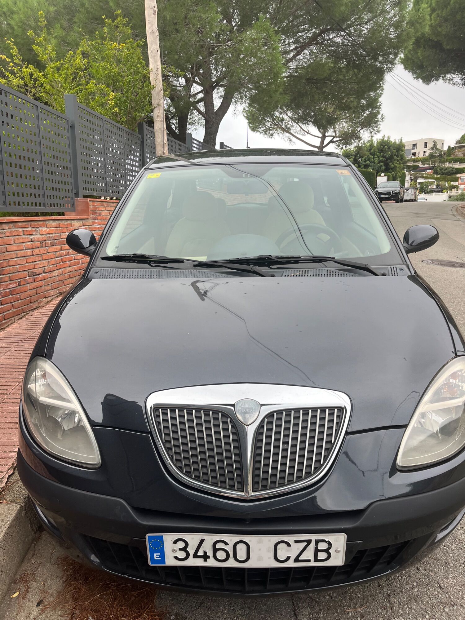 Foto del LANCIA Ypsilon 1.2 16v Argento